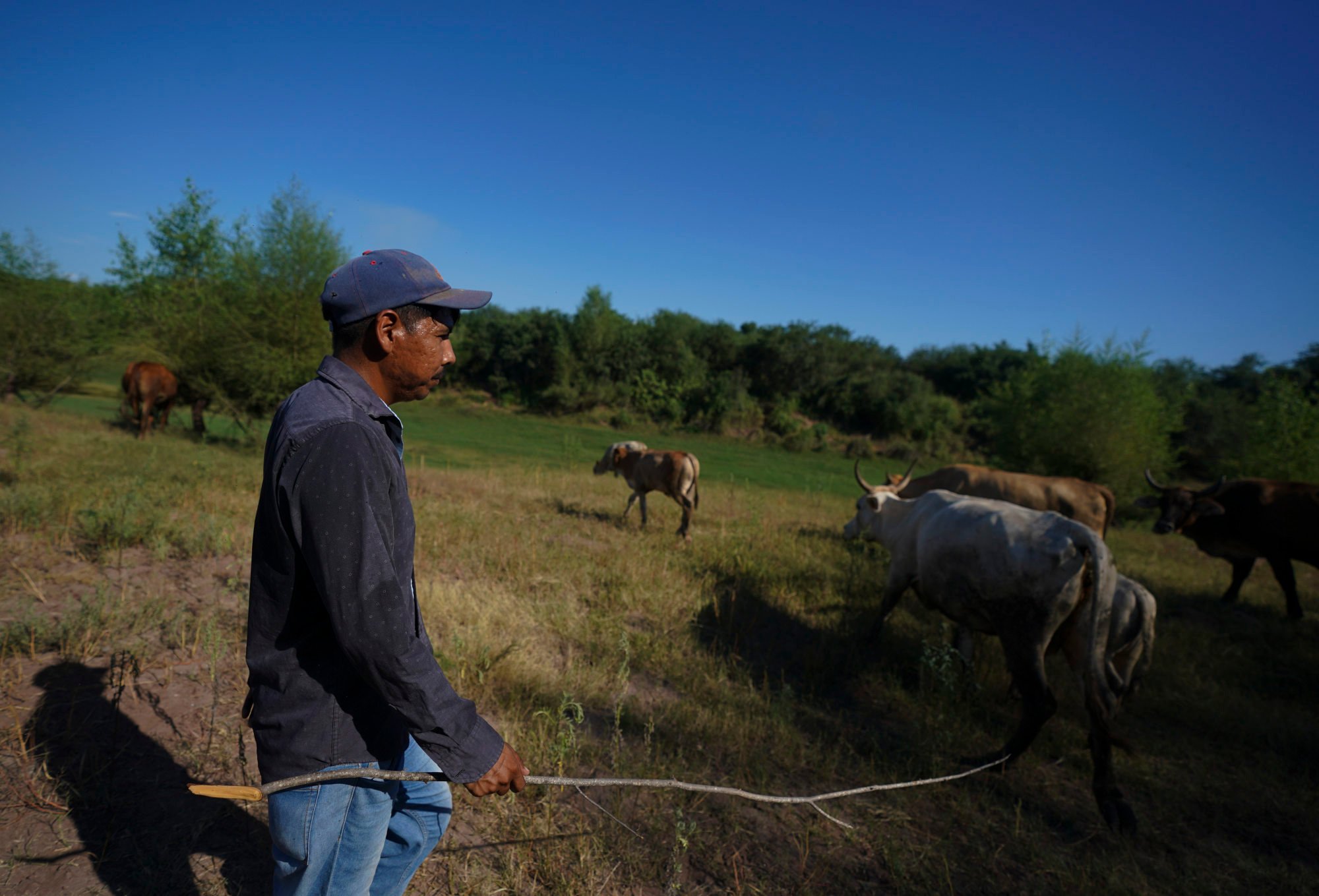 why-is-mexico-such-a-deadly-spot-for-environmental-activists-south