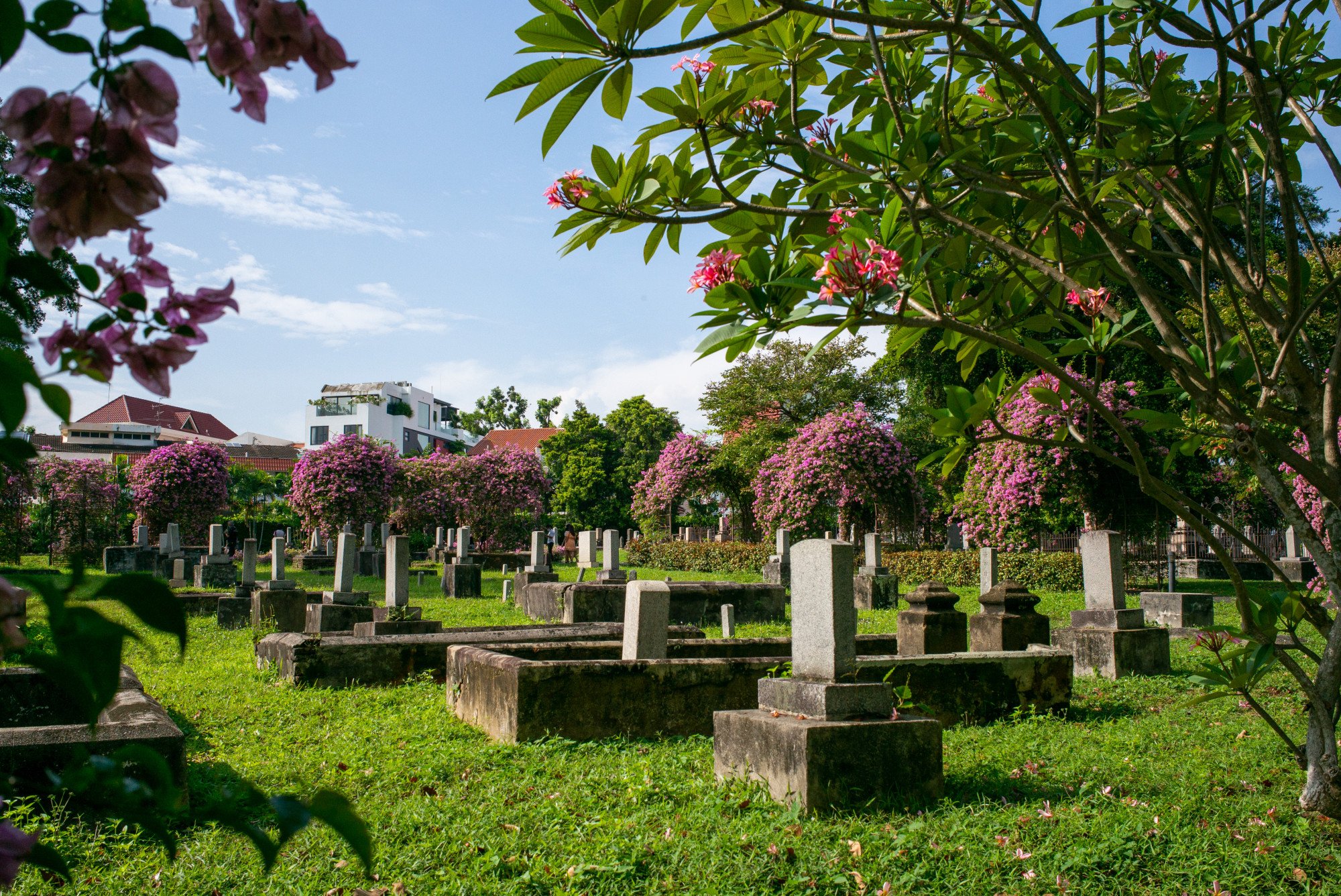 Graves at the Japanese Cemetery Park. Photo: Shutterstock