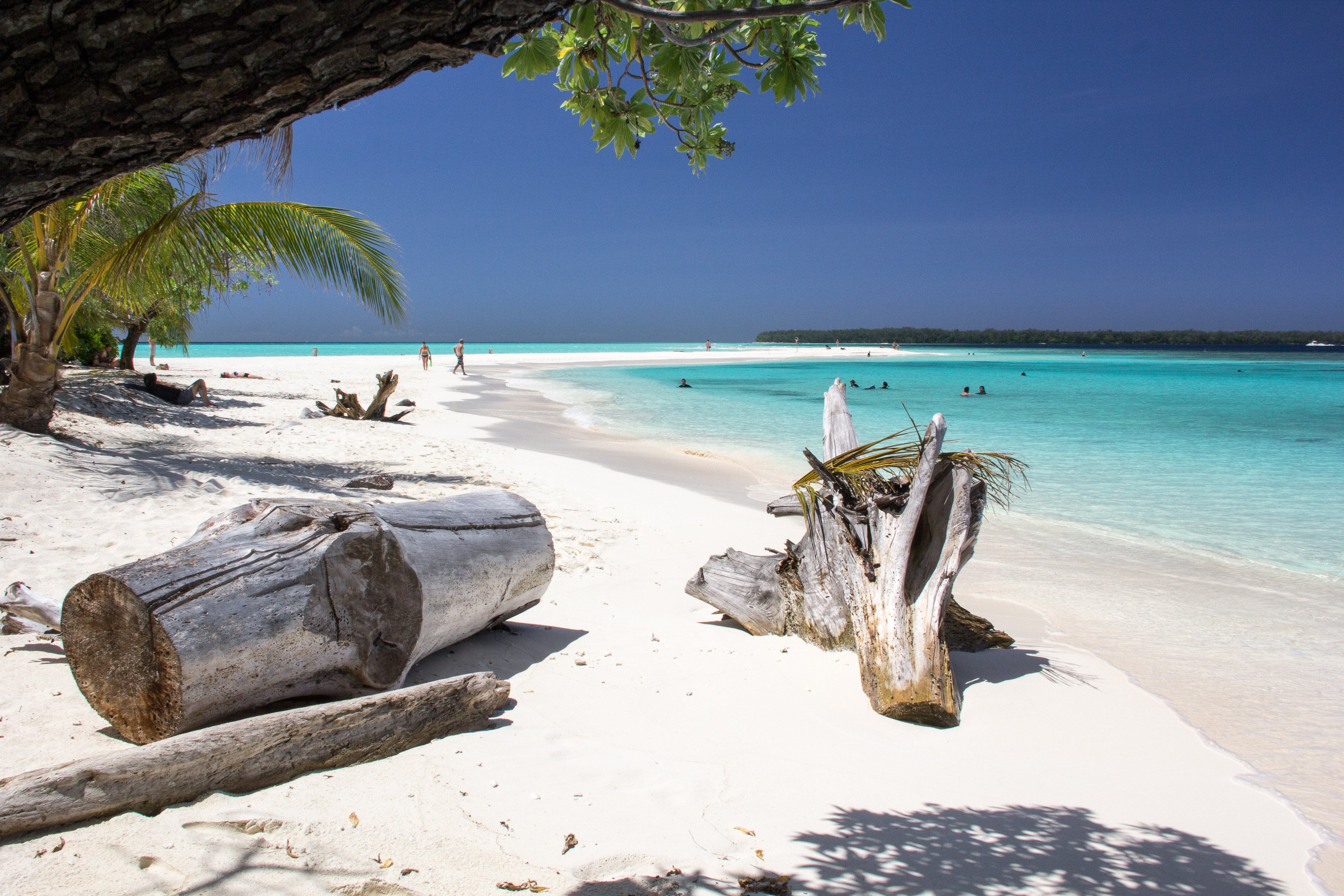 Beautiful Pristine Waters and white sand beach in Conflict Islands&#xA;&#xA;CREDIT: Shutterstock