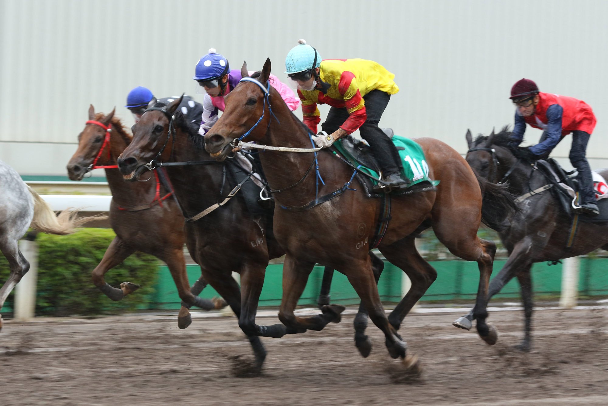 Galaxy Witness wins his latest trial under Matthew Chadwick, who will ride him on his competitive return.