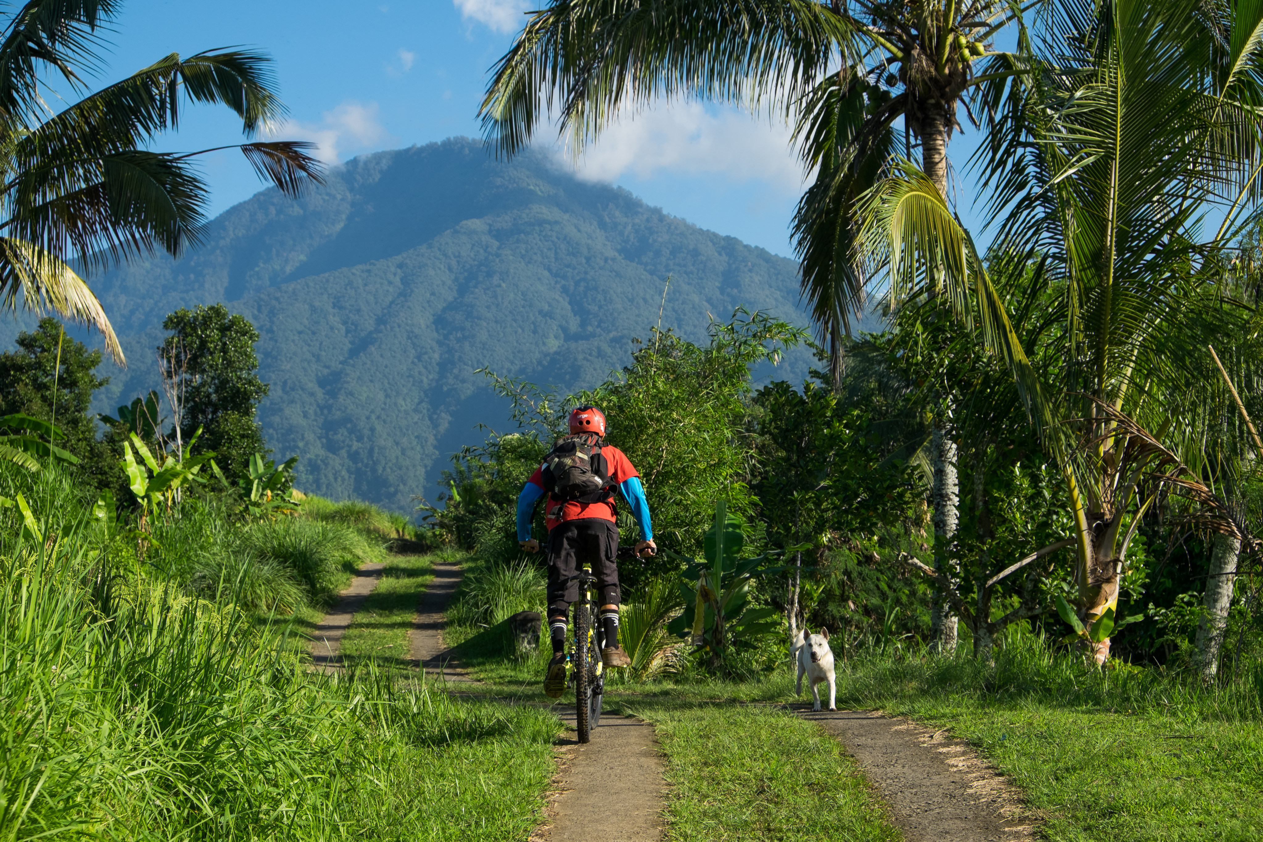Head off-site to really discover a destination, such as this trail through rice fields in Bali. Photo: Steve Thomas