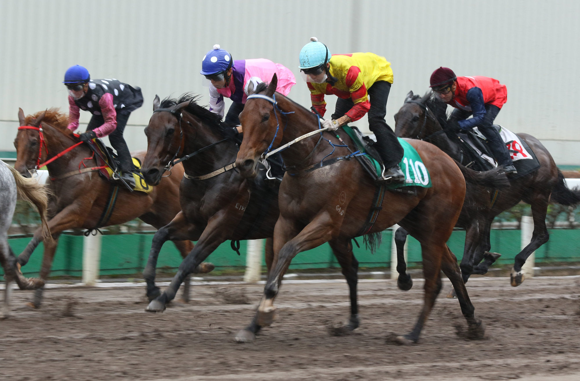 Matthew Chadwick (yellow colours) gets acquainted with Galaxy Witness in a Sha Tin trial on September 30.