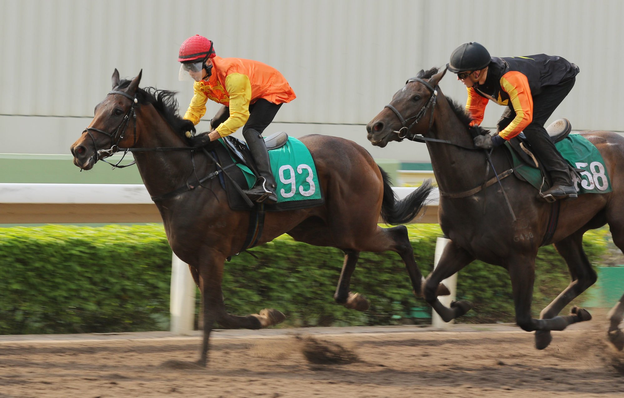 Victor Wong rides Armour Eagle in a trial at Sha Tin on Friday.
