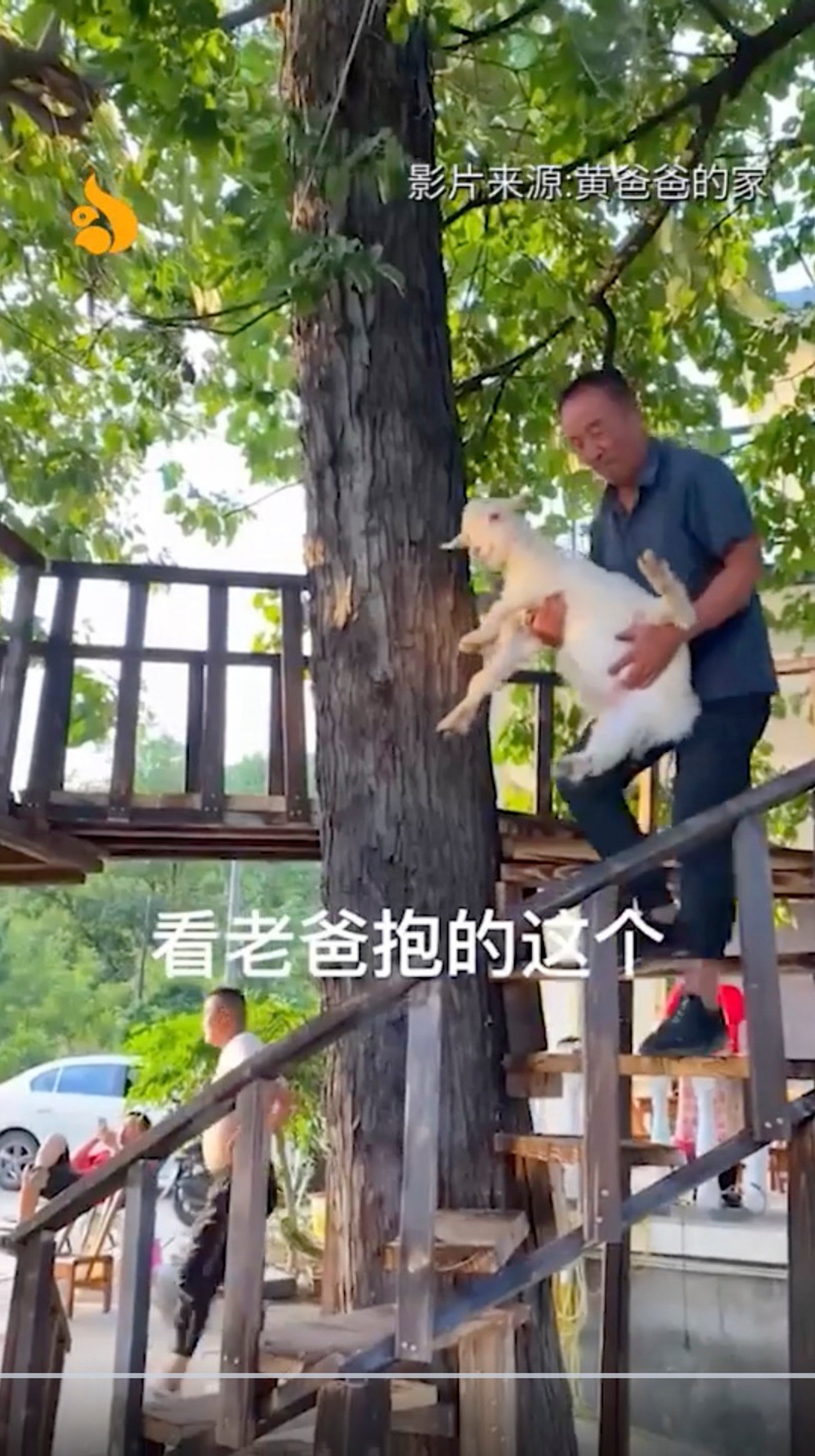 Huang often takes Kaochuan with him when he goes out. Photo: Weibo