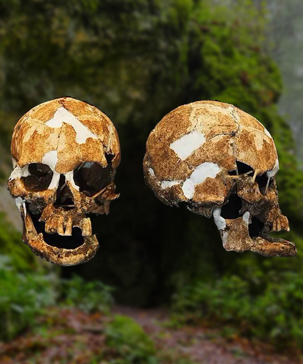 Scientists analysed skulls (pictured) to confirm existence of legendary tiny people in Taiwan. Photo: SCMP composite