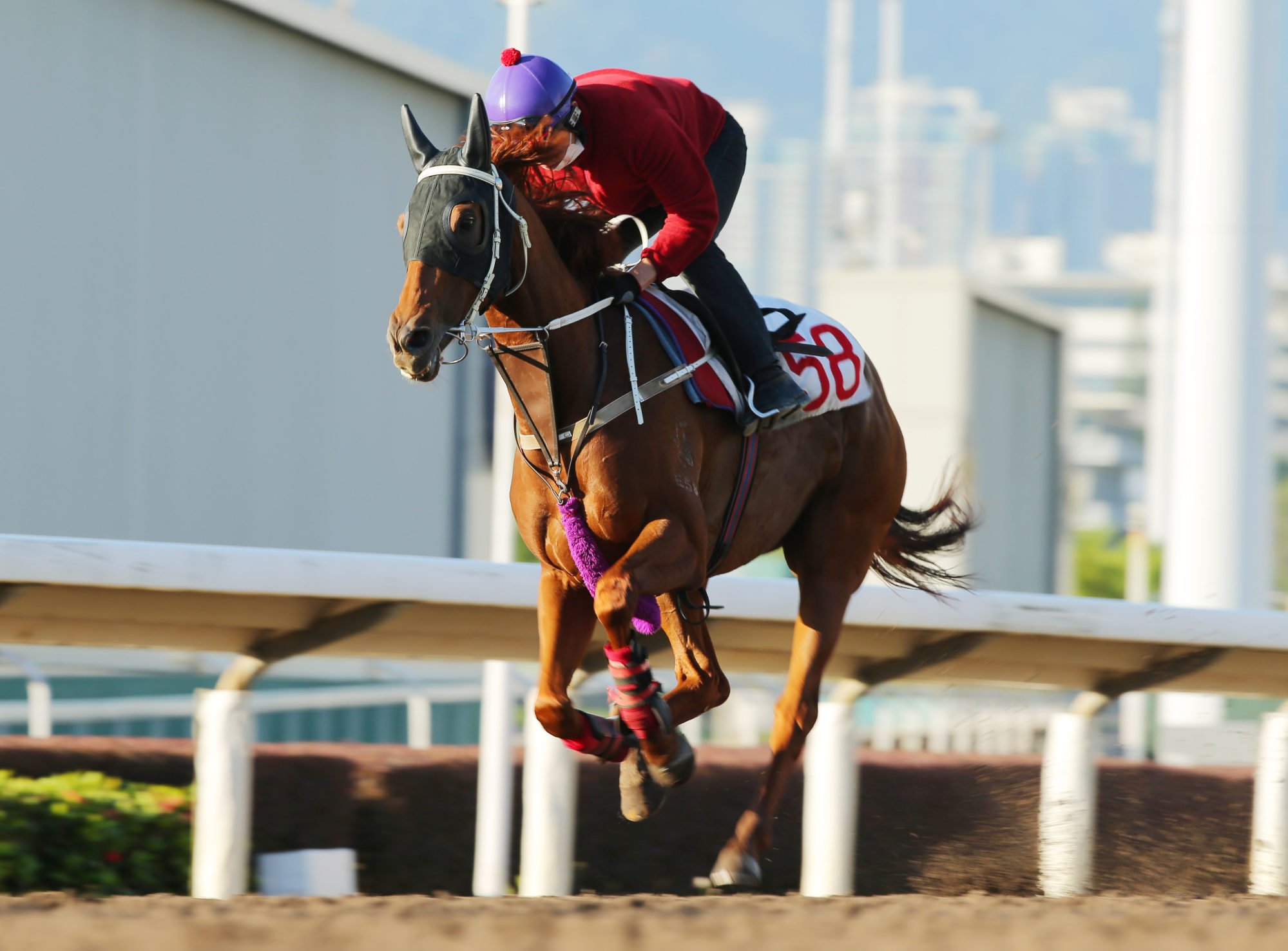 Beauty Joy gallops on Sha Tin’s all-weather track ahead of his reappearance on Sunday. Photo: Kenneth Chan