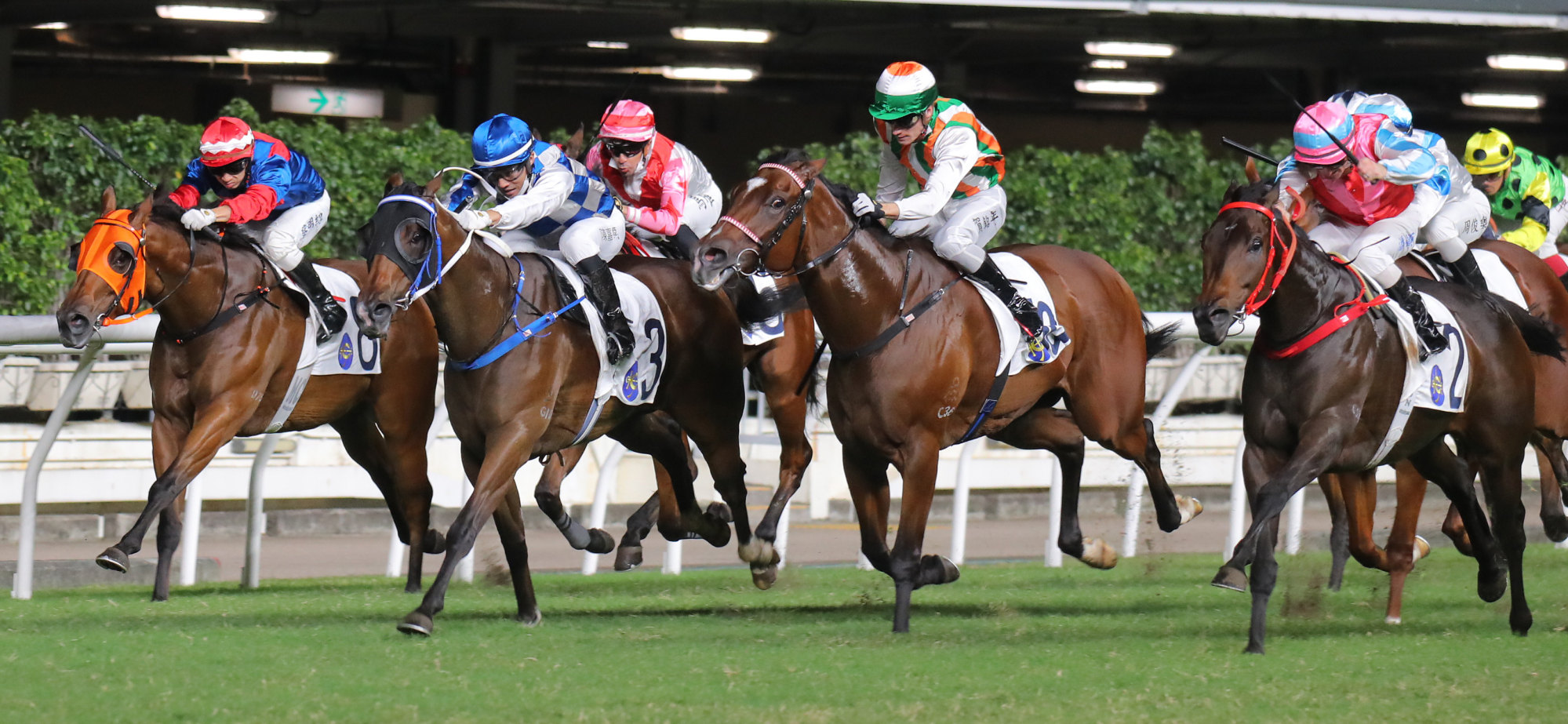 Alfred Chan drives Sugar Sugar (blue and white colours) to victory on Wednesday night.