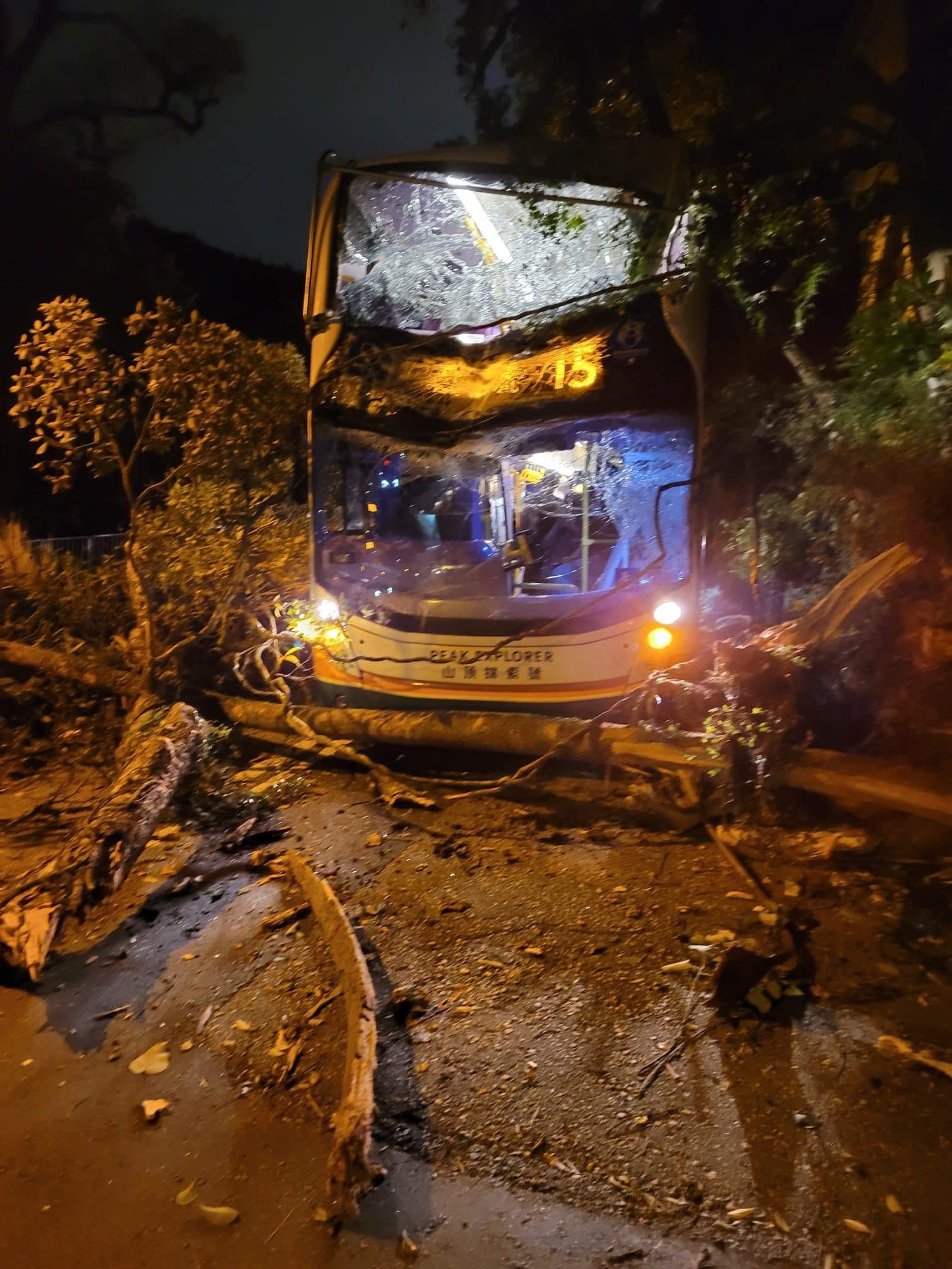 The bus was hit by a falling tree on The Peak as the city felt the effects of Typhoon Nesat. Photo: Facebook
