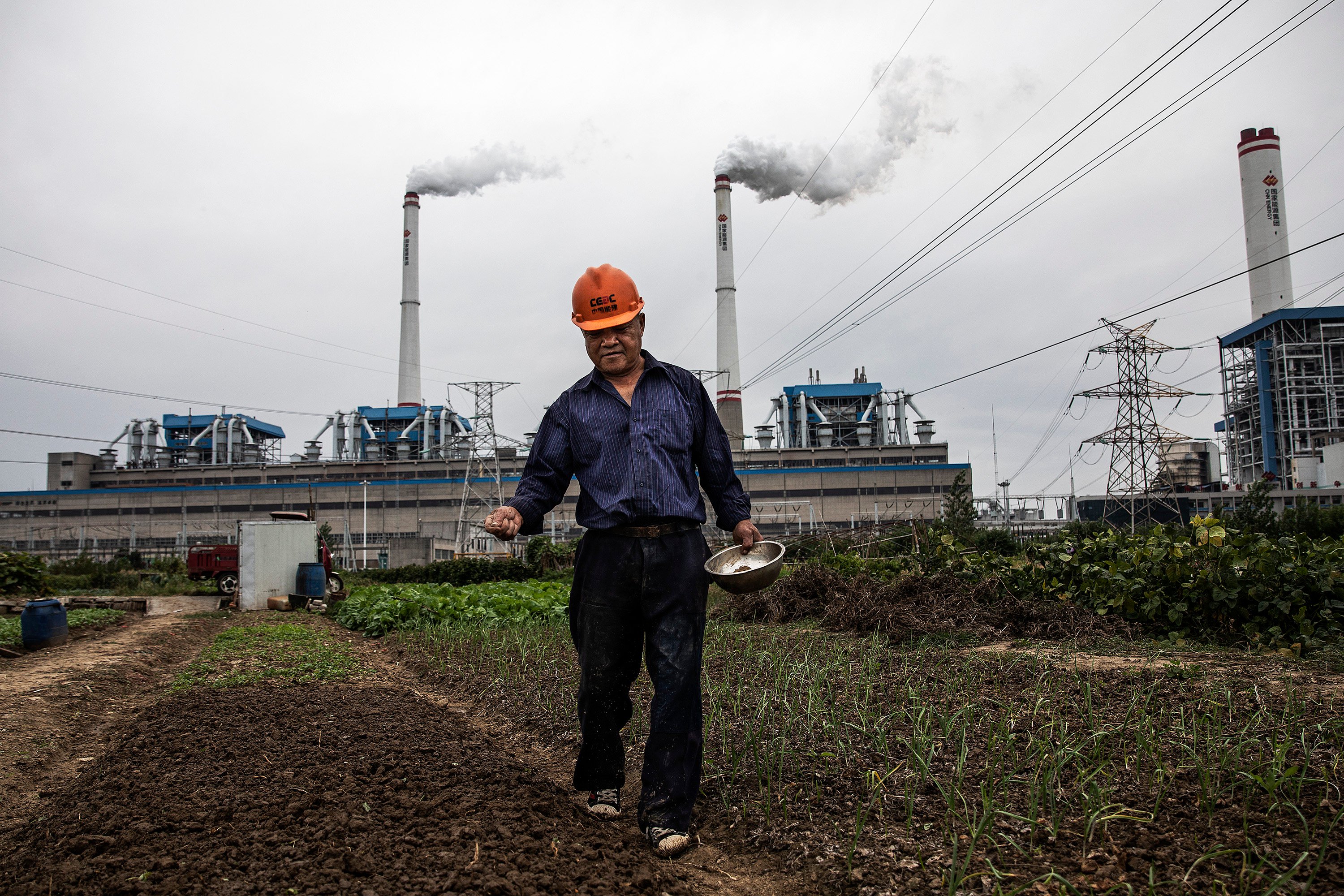 A man waters plants in front of a coal-fired power plant in Hanchuan, China’s Hubei province, on October 13, 2021. To stabilise domestic energy supply, China is pushing its coal output to 12 million tonnes a day. Photo: Getty Images