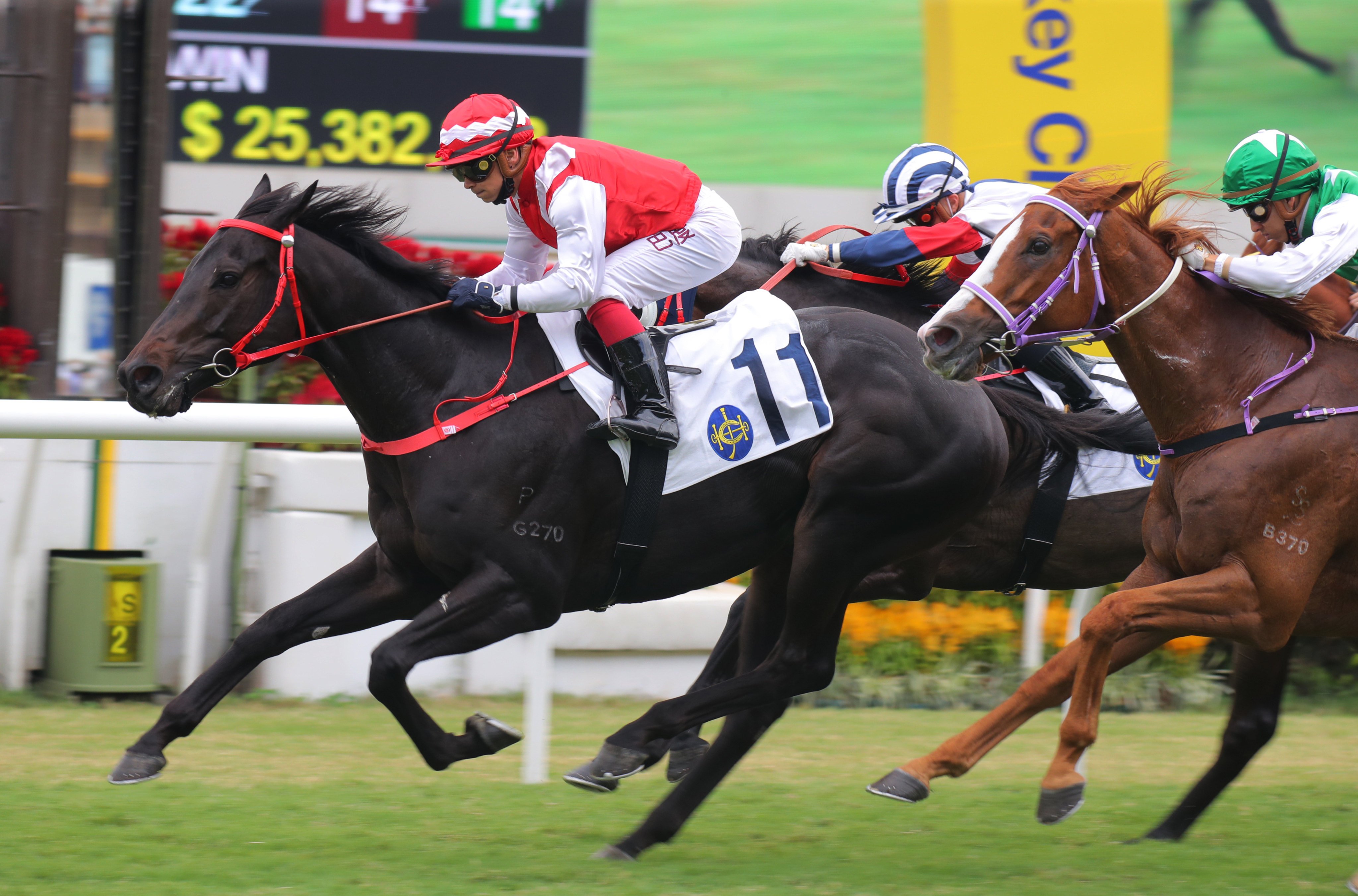 Accelerando accelerates to register the first of Alexis Badel’s three wins at Sha Tin. Photo: Kenneth Chan