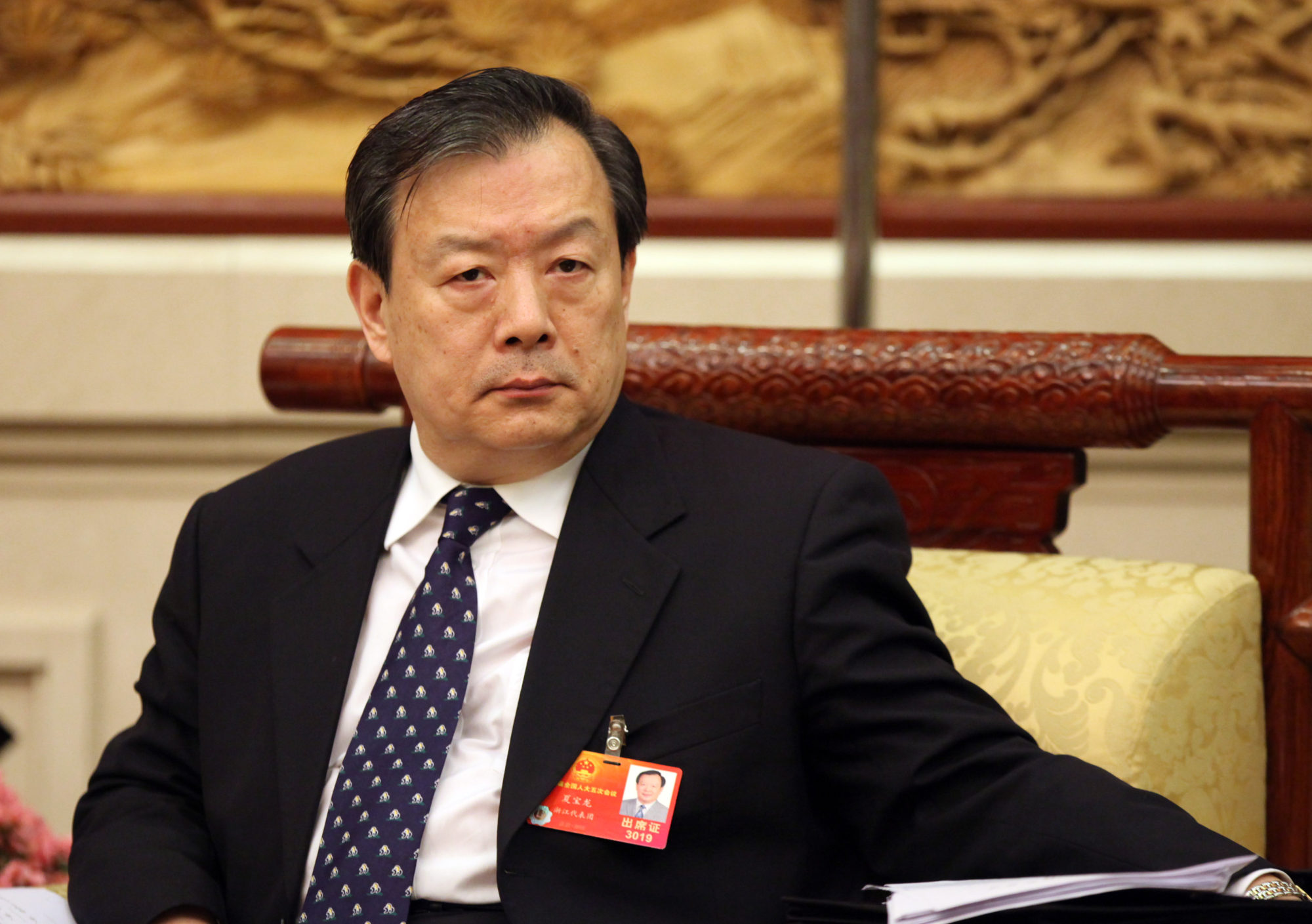 HKMAO chief Xia Baolong. Photo: Imaginechina