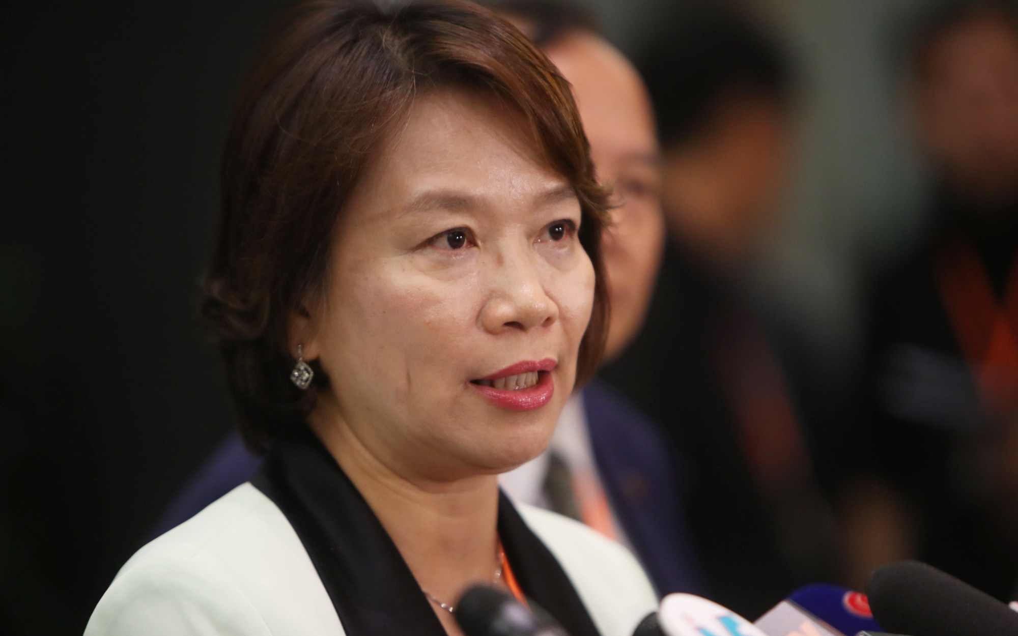 Legislator Priscilla Leung Mei-fun. Photo: Winson Wong