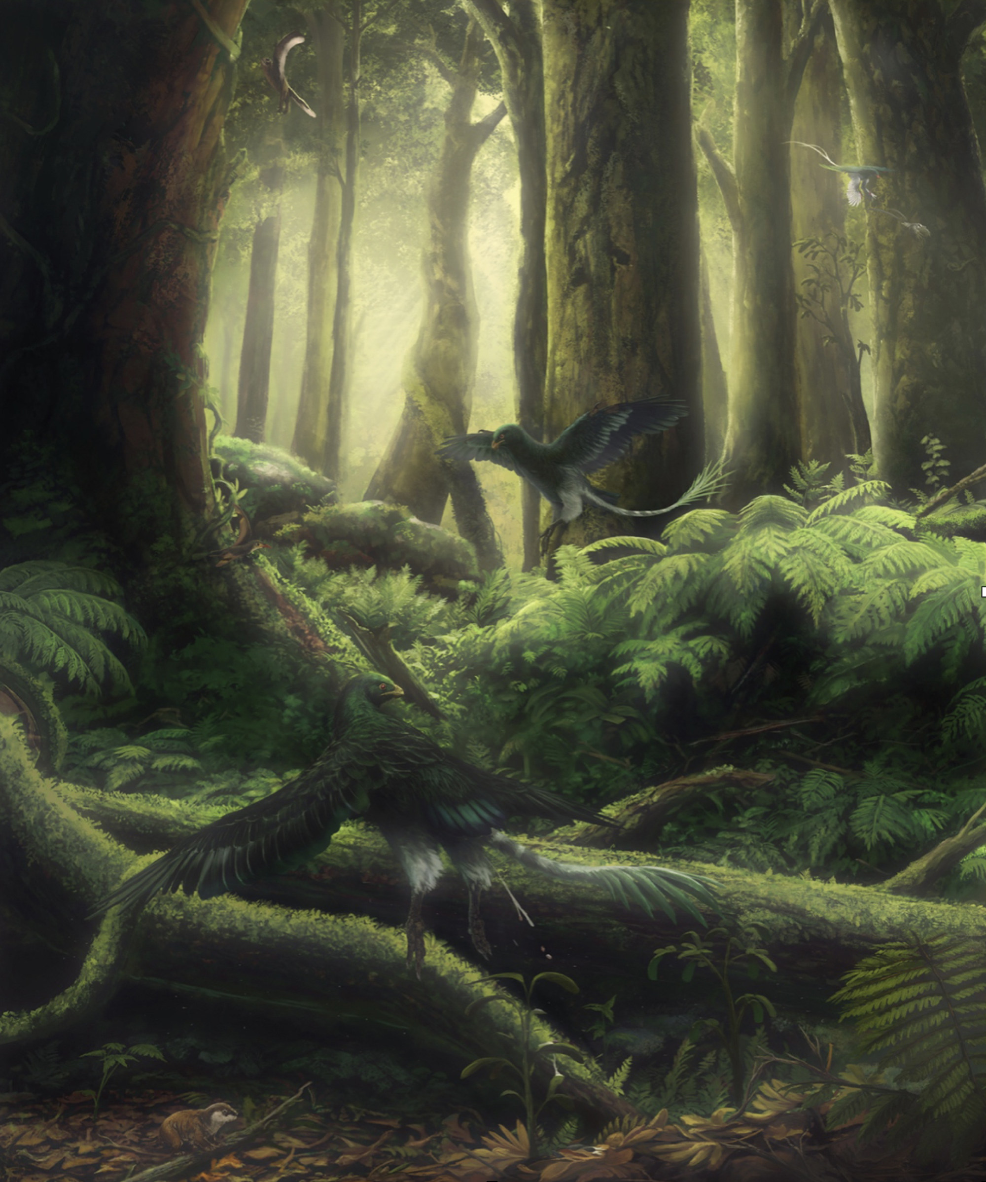 An artistic rendition of Jeholornis birds living in their environment. Credit: Illustration by Yezi
