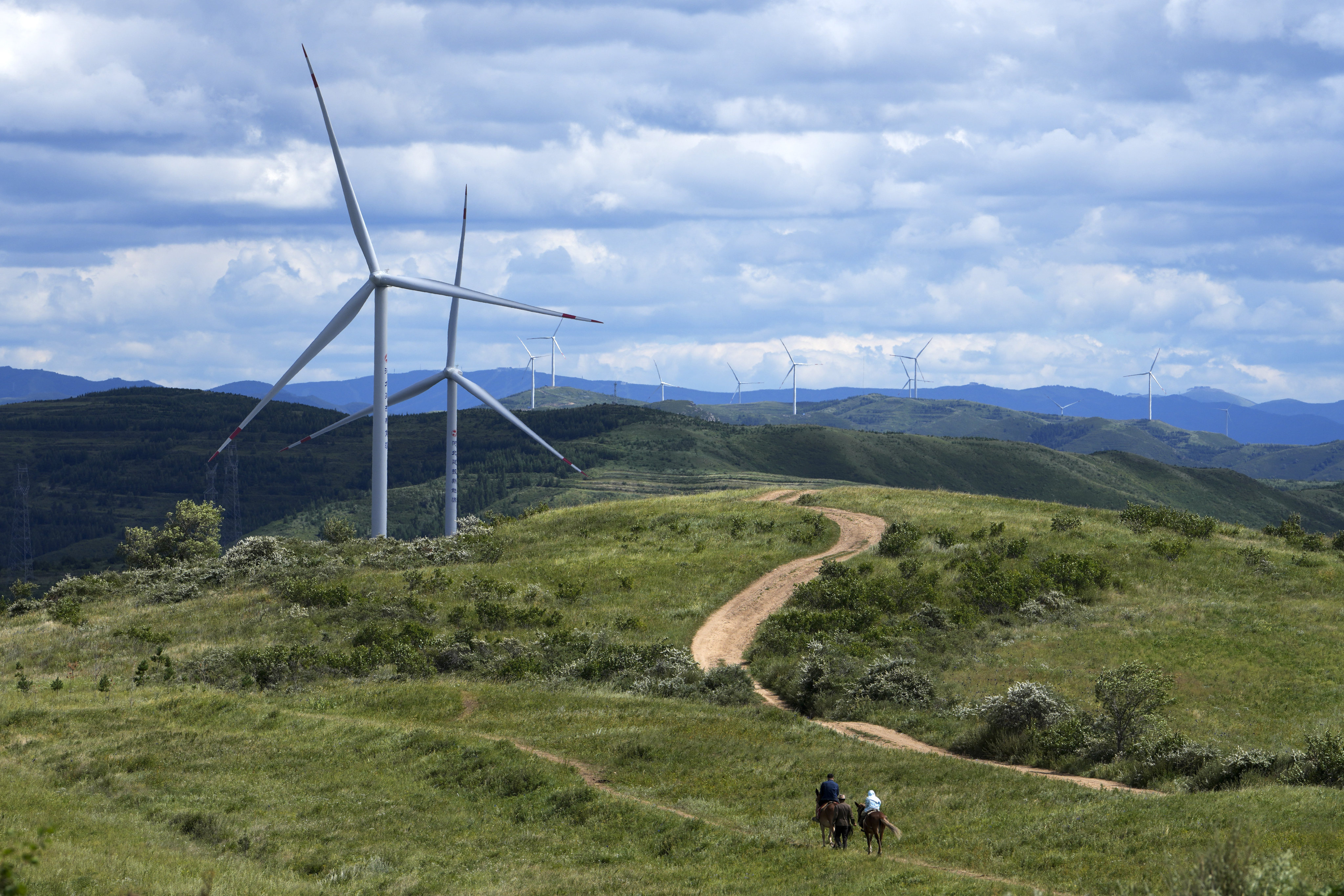 Tourists ride horses near wind turbines on the grassland in Zhangbei county, Hebei province, on August 15. China, currently the top emitter of greenhouse gases in the world, aims to reach net zero by 2060, requiring significant slashing of emissions. Photo: AP