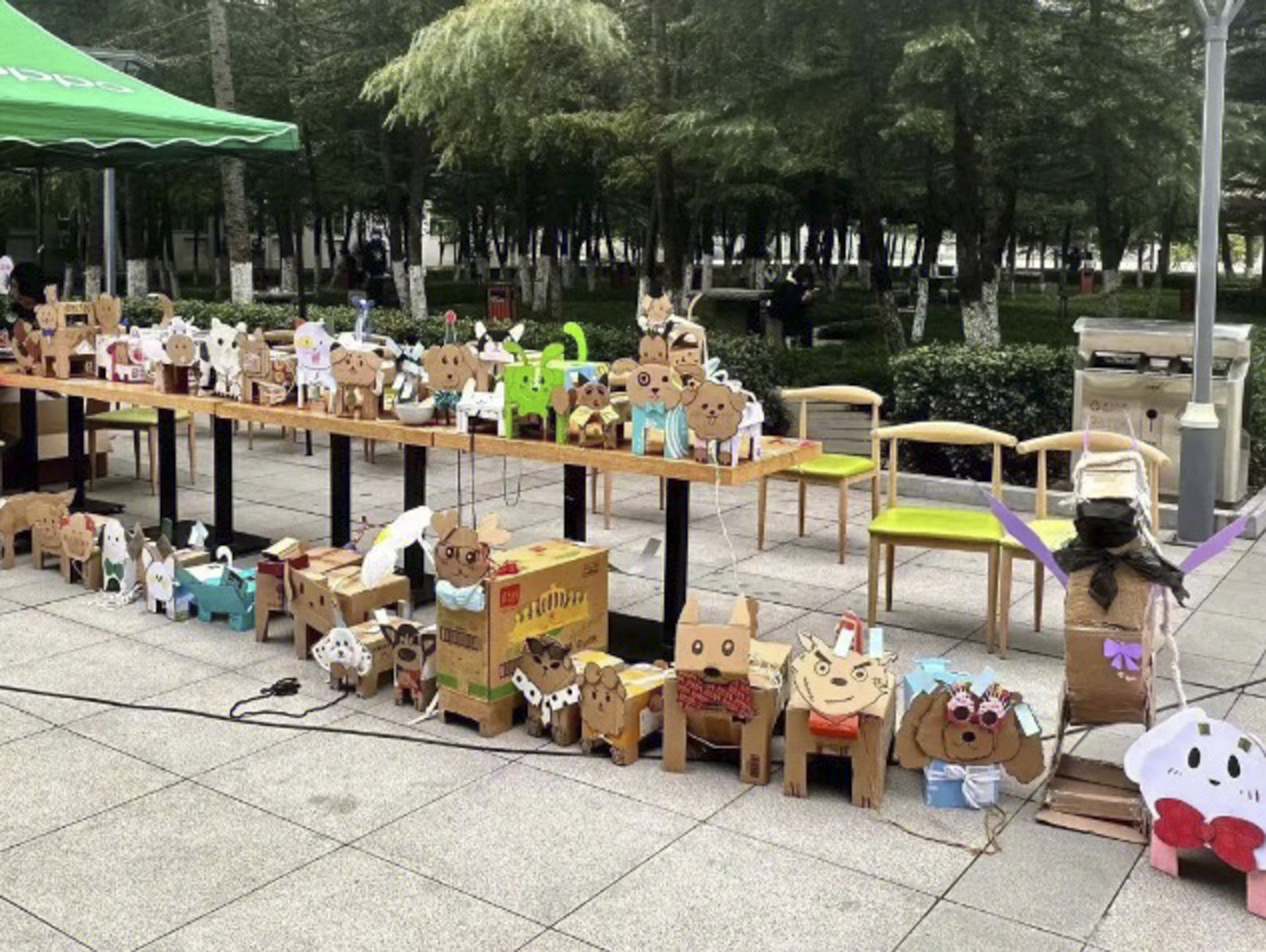 A lineup of cardboard ‘pets’ made by university students stuck in Covid-19 prevention lockdowns. Photo: ifeng.com