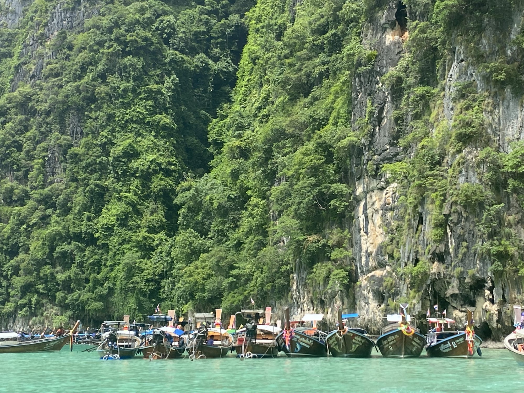 Boats lined up to conduct Phi Phi Leh tours. Photo: Tamara Hinson