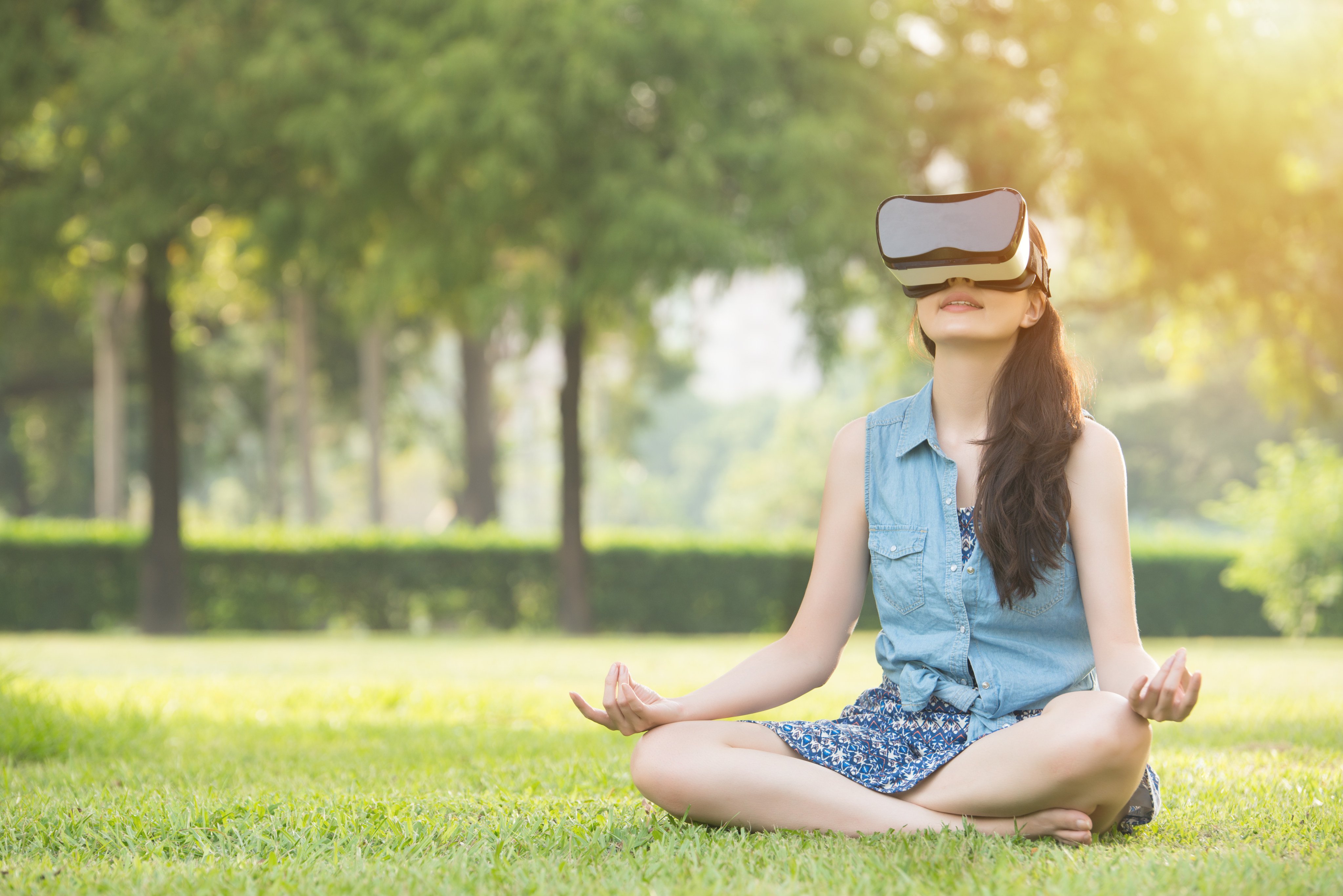 Relaxing Zen music in 360 VR  Tree of Awakening - Meditation music for  Oculus Quest 