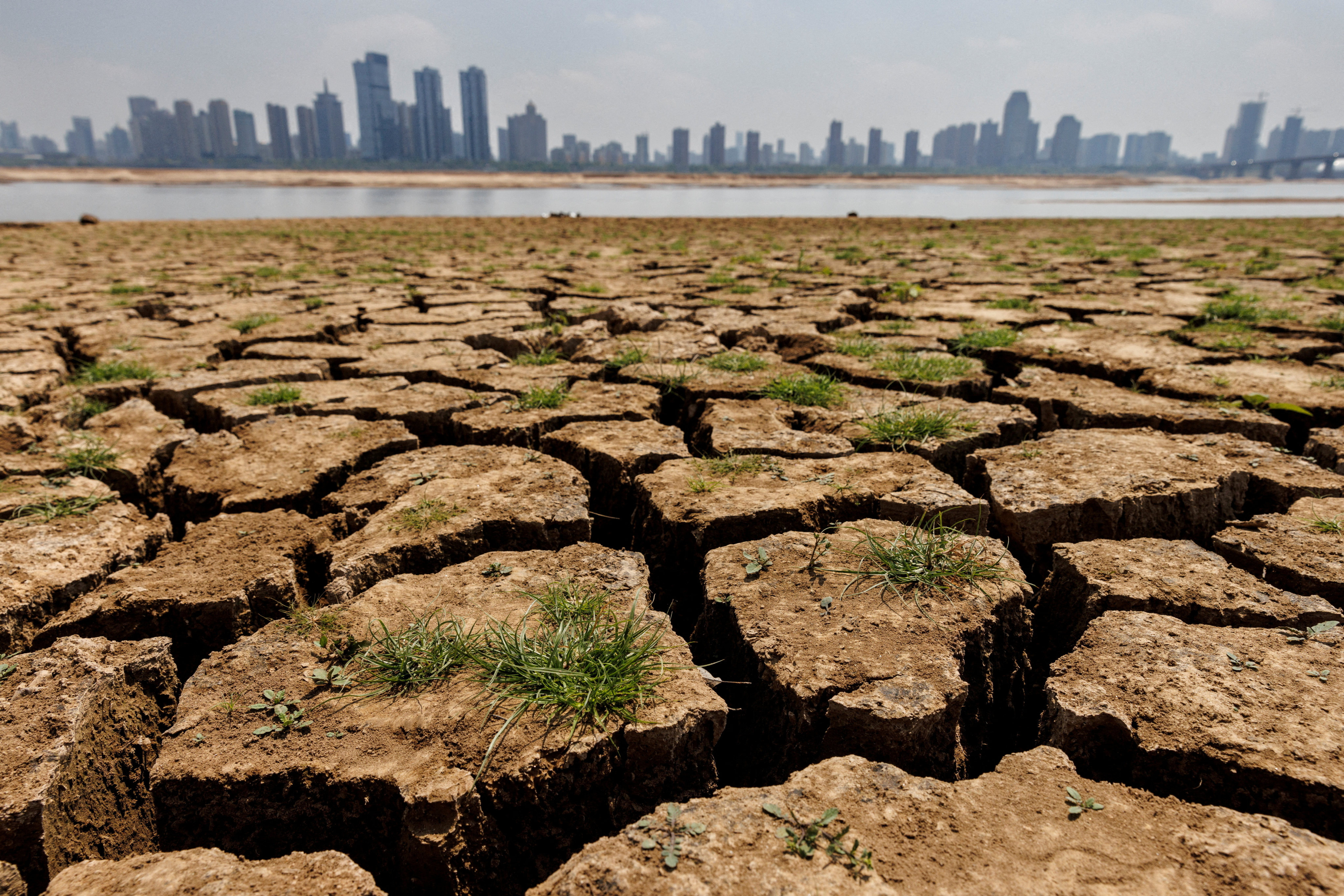 Cracks run through the partially dried-up river bed of the Gan River, during a regional drought in Nanchang, Jiangxi province, August 28, 2022. Photo: Reuters