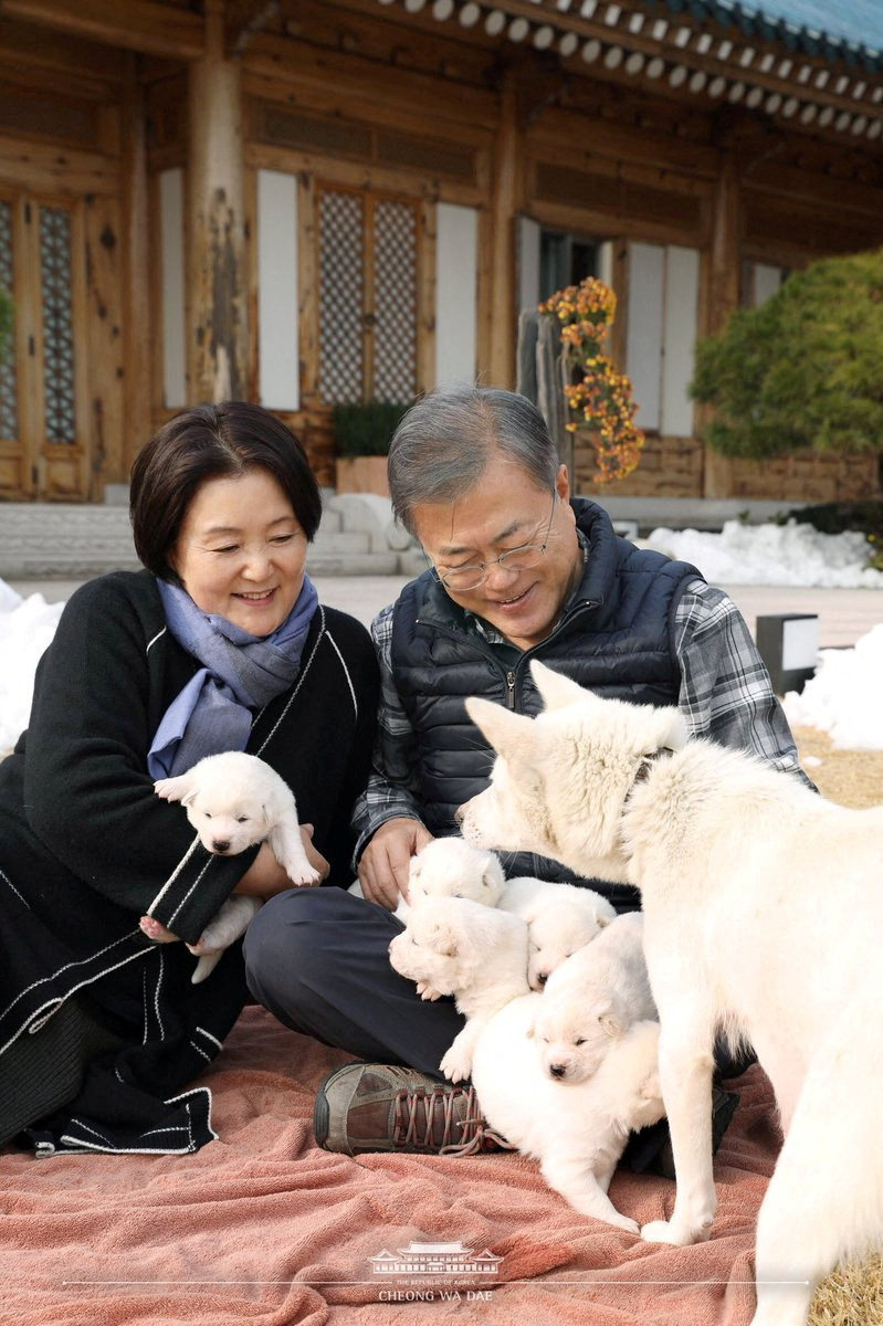 Moon Jae-in and his wife Kim Jung-sook pictured in 2018 holding puppies born from one of the dogs gifted by North Korea. Photo: South Korean Presidential Office Handout via Reuters