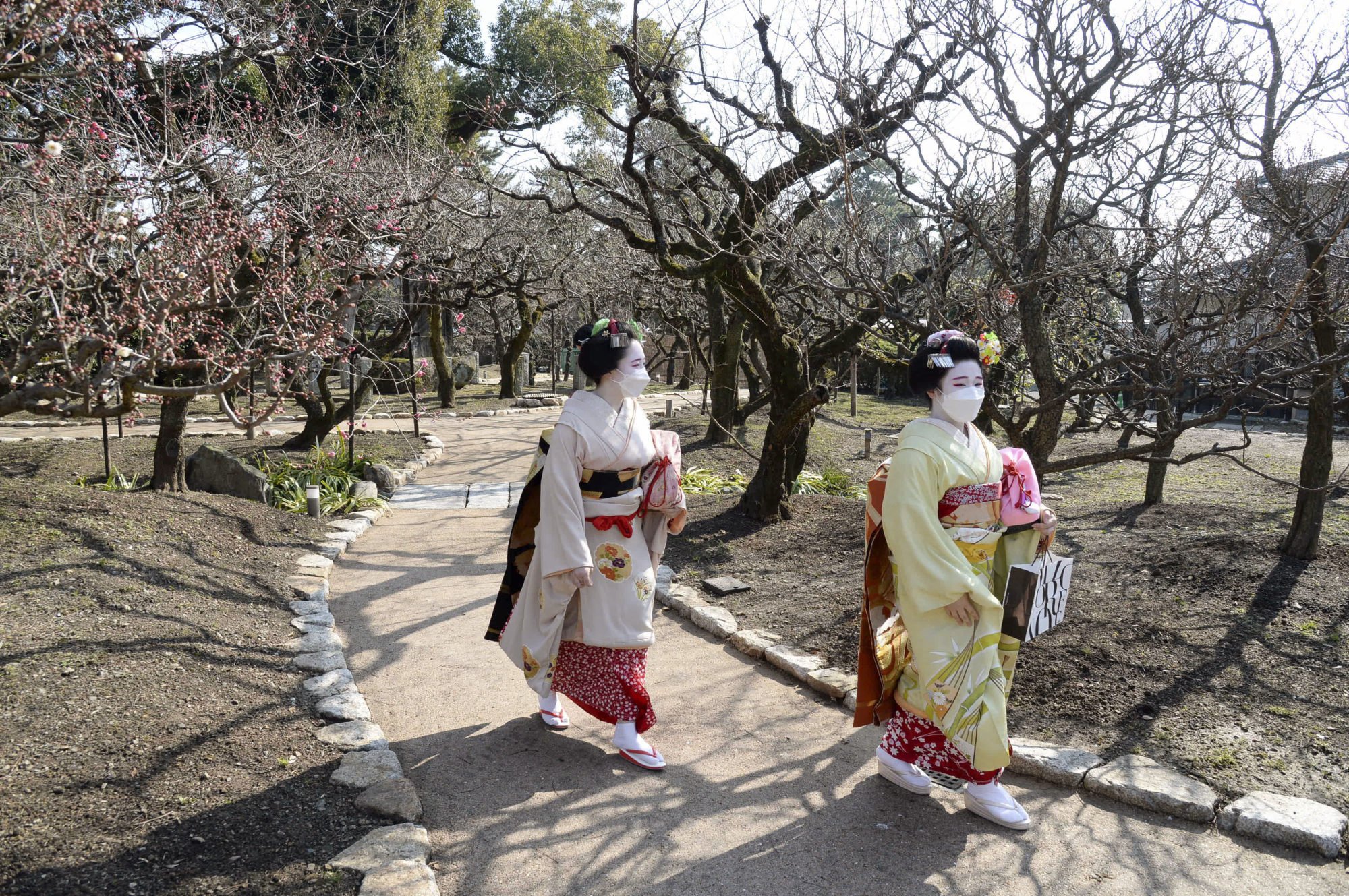 Apprentice geishas are generally aged 15-20 and are known as maikos. Photo: Kyodo