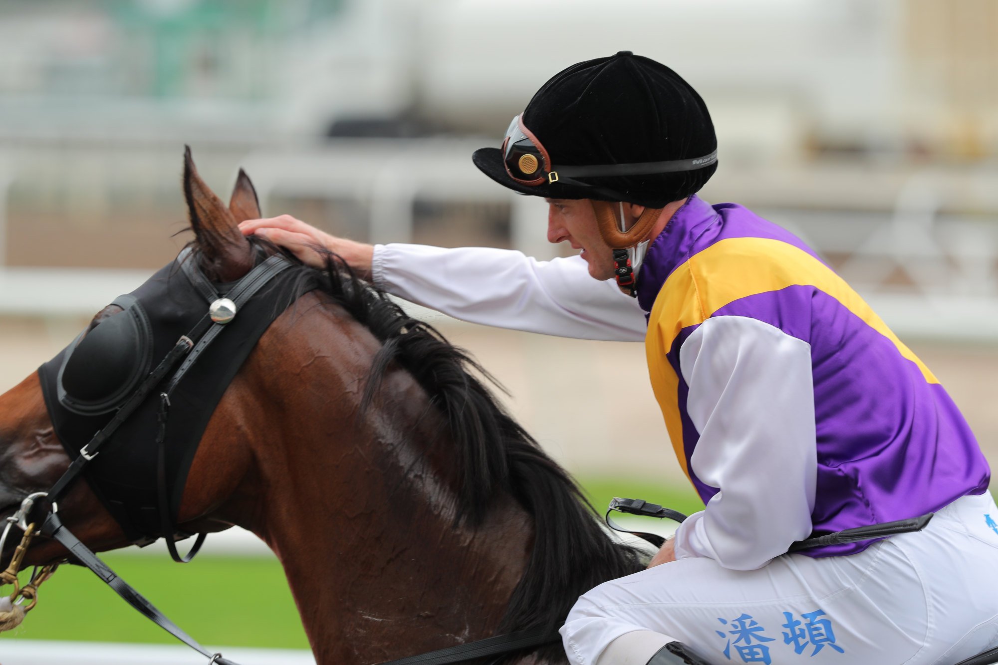 Zac Purton gives Marado a pat.