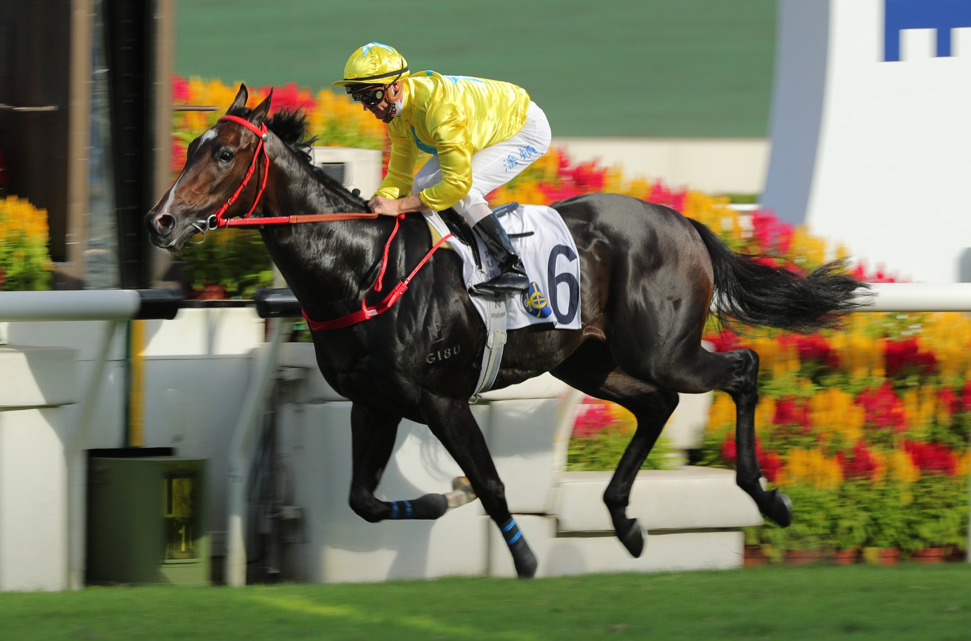 Zac Purton wins aboard Lucky Sweynesse at Sha Tin on July 16. Photo: Kenneth Chan