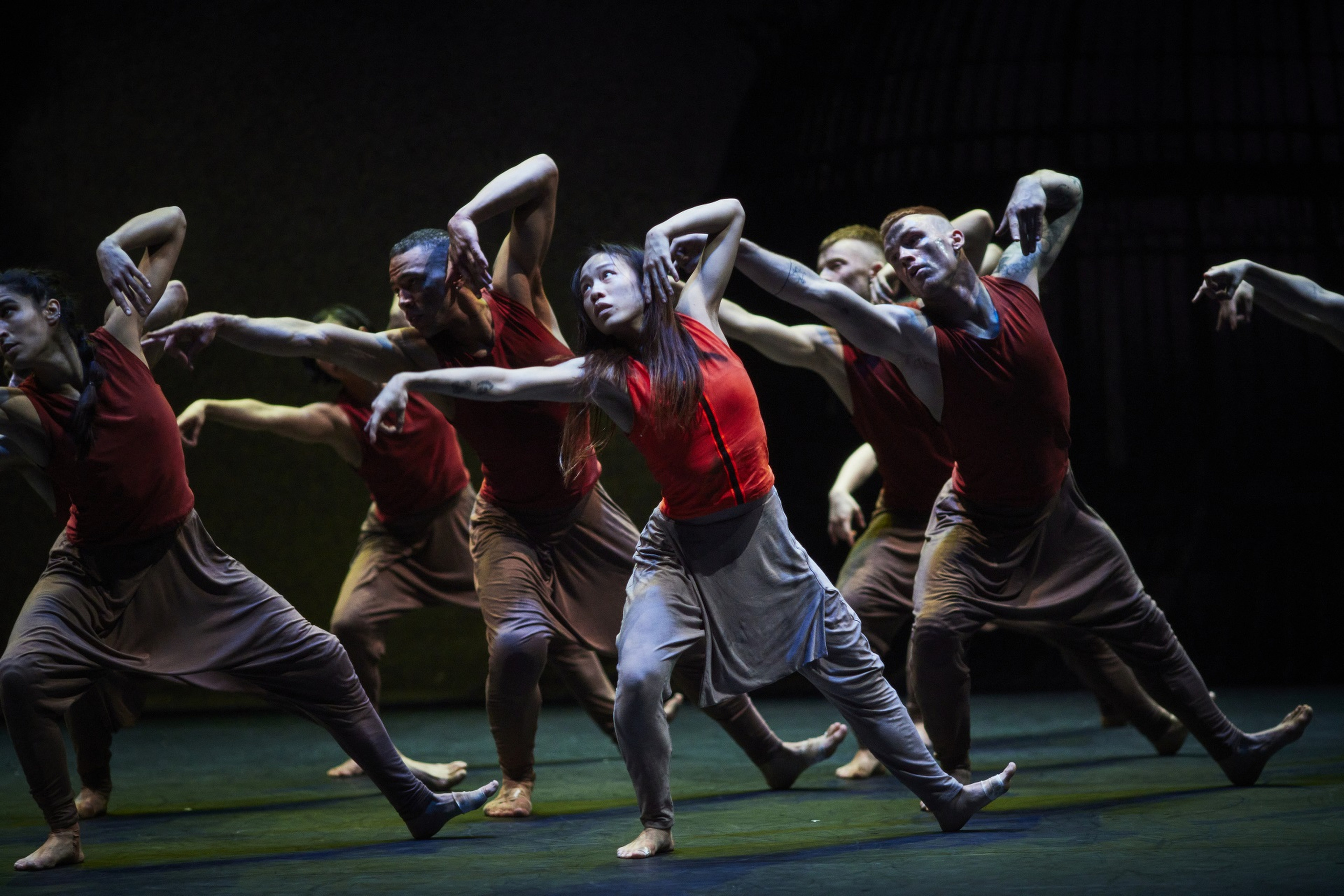 Jungle Book Reimagined is a work by the Akram Khan Company, which has returned to Hong Kong after three years away. Photo: Ambra Vernuccio