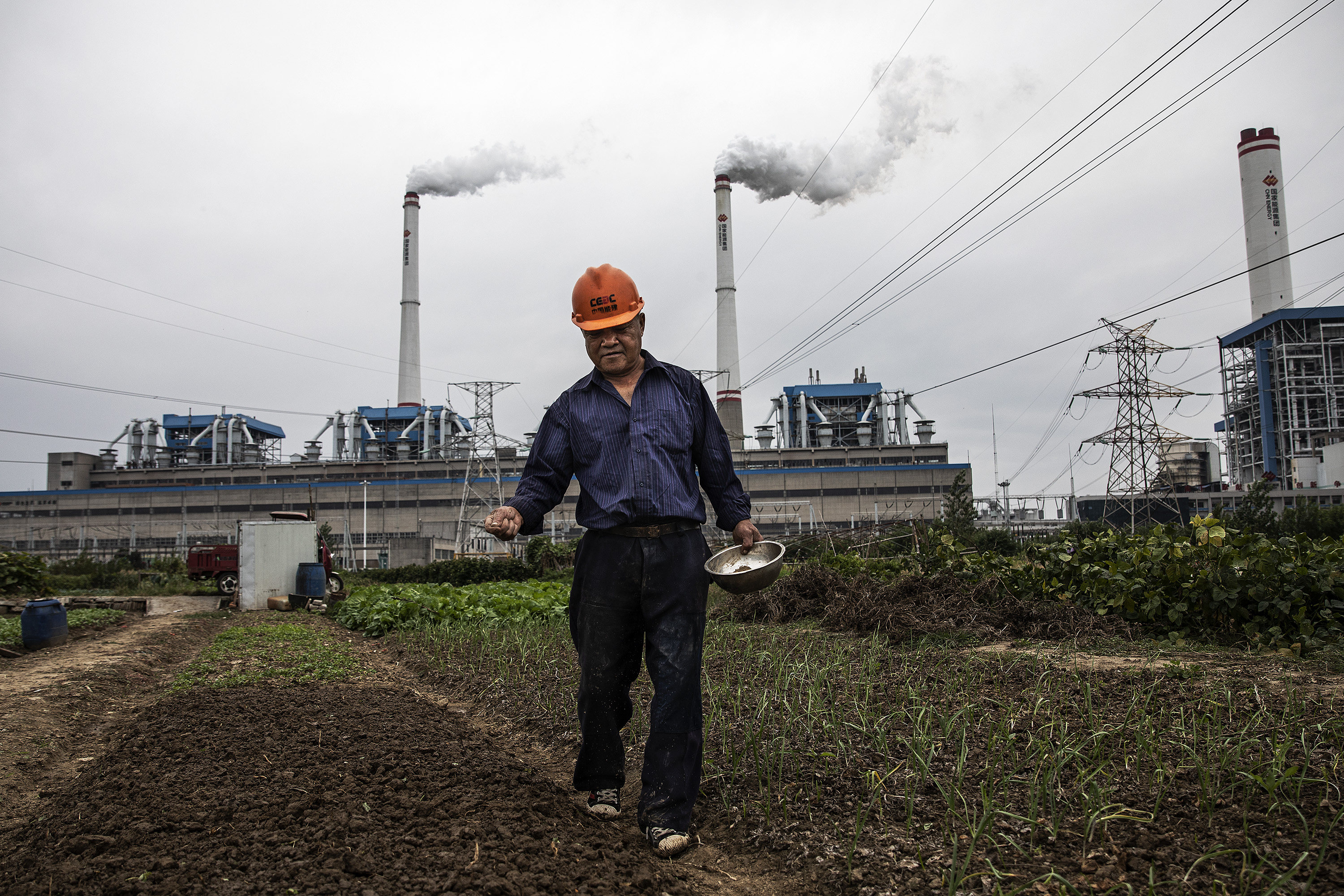 A man waters plants in front of a coal-fired power plant in Hanchuan, China’s Hubei province, on October 13, 2021. Photo: Getty Images
