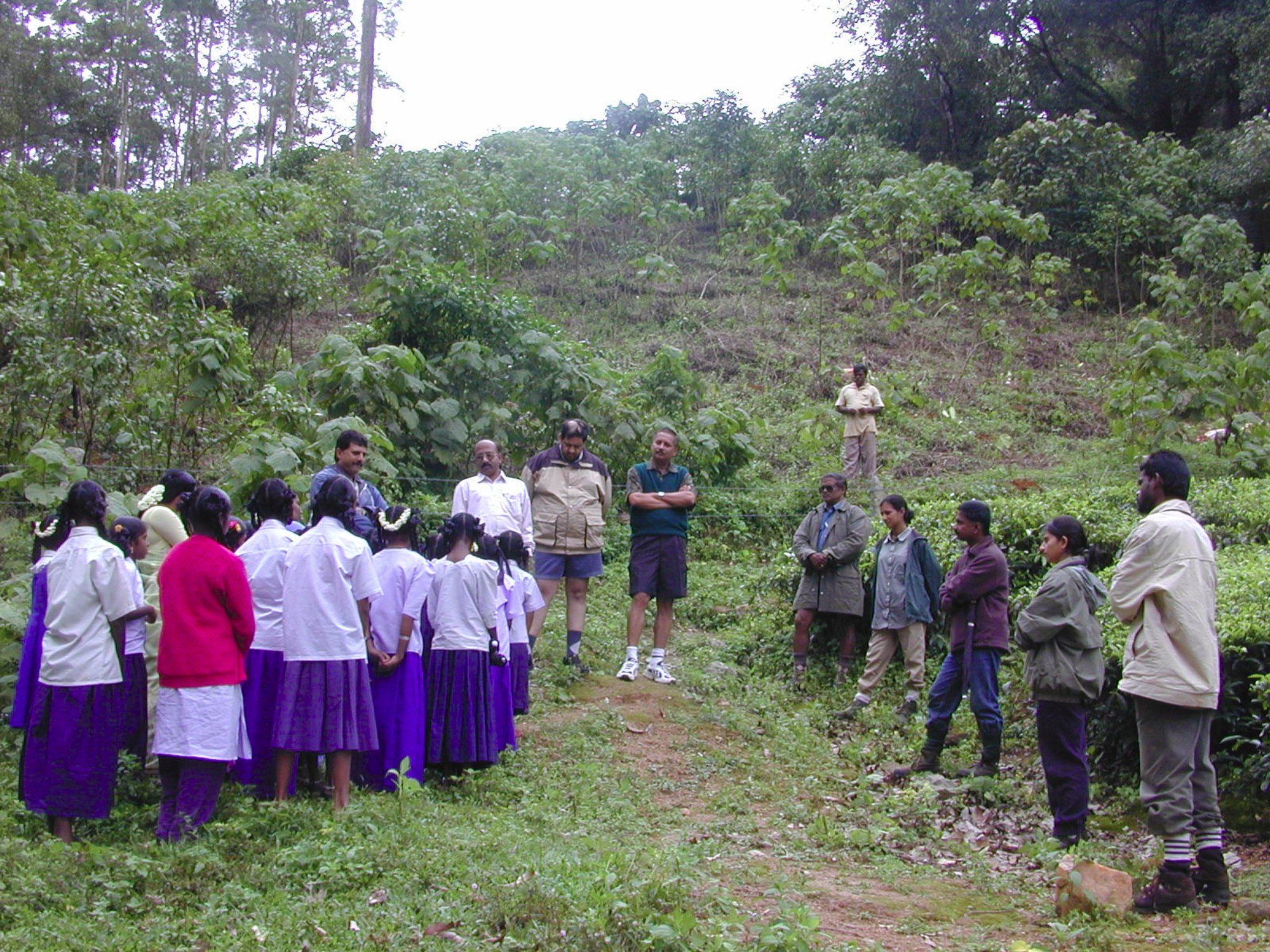 Schoolchildren visit a planting site at Valparai. Photo: Nature Conservation Foundation