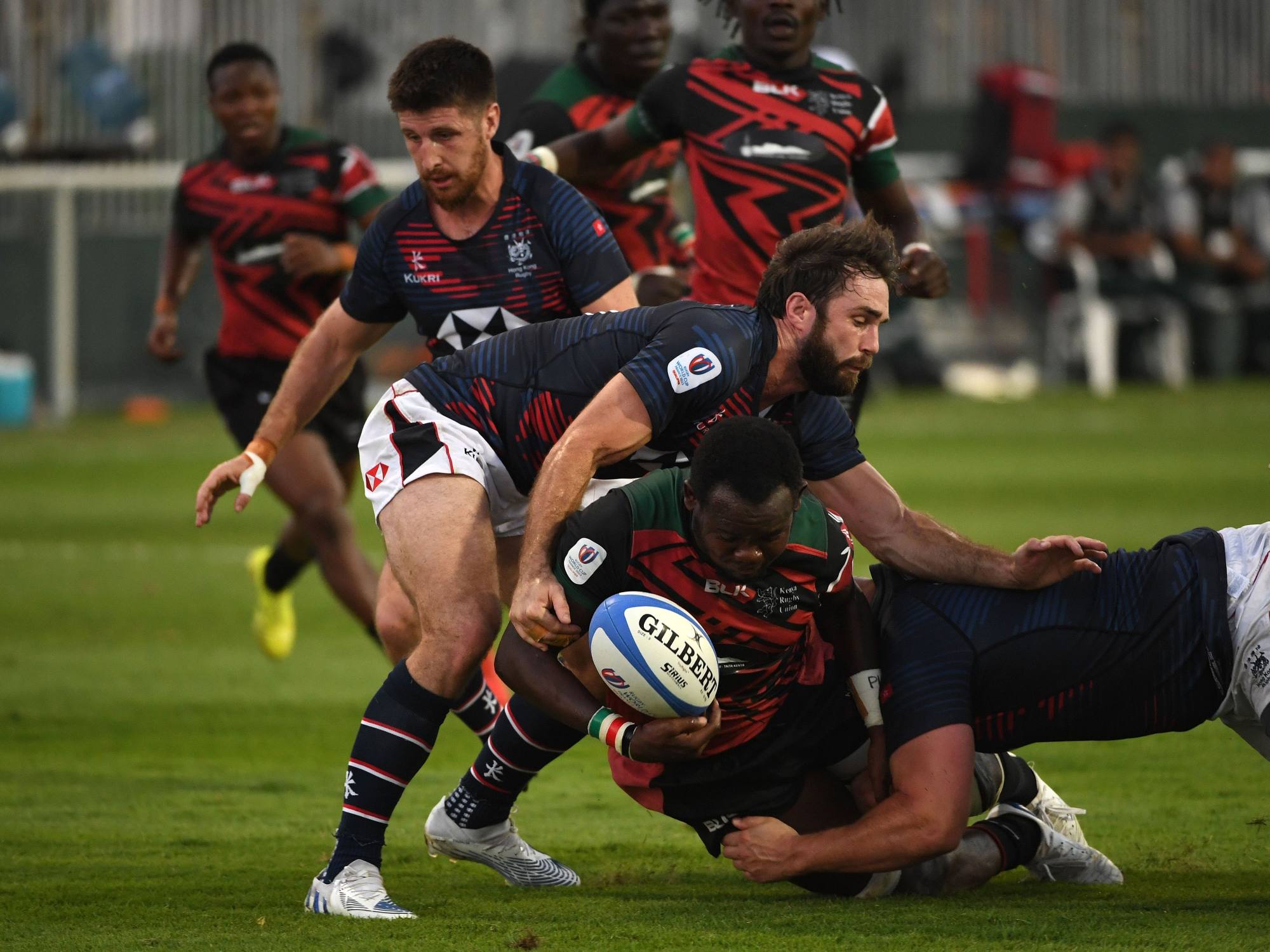 Portugal match day squad to play Belgium : r/rugbyunion