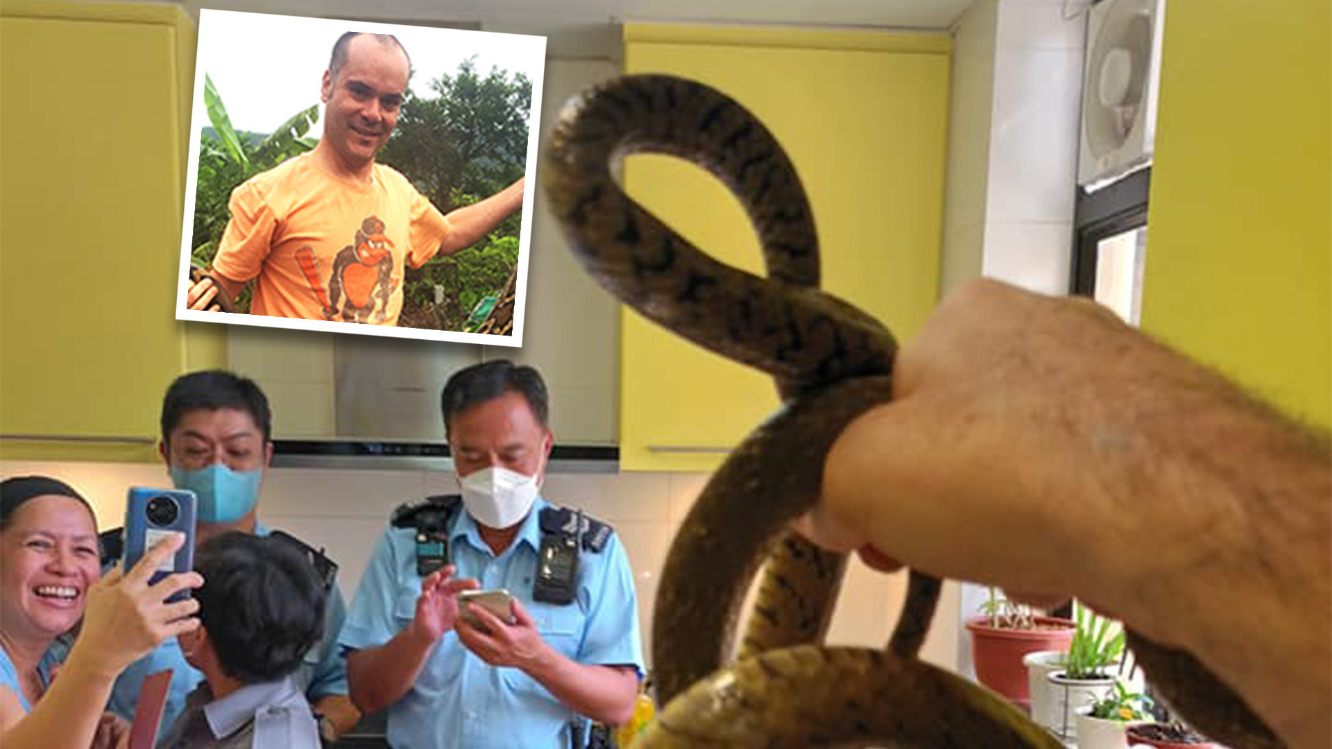 Study Buddy (Explorer): Vipers in quarantine centre to cobra hidden in  flat, Hong Kong snake catcher reveals all - YP