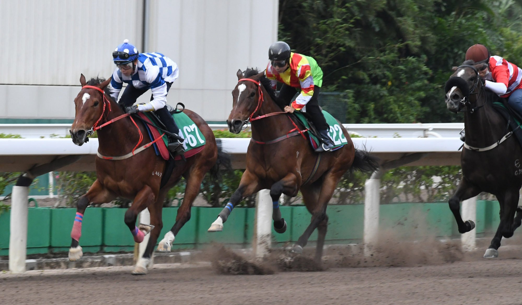 Nordic Dragon leads all the way under his race day rider, Vincent Ho, to win his Sha Tin dirt trial on November 1.