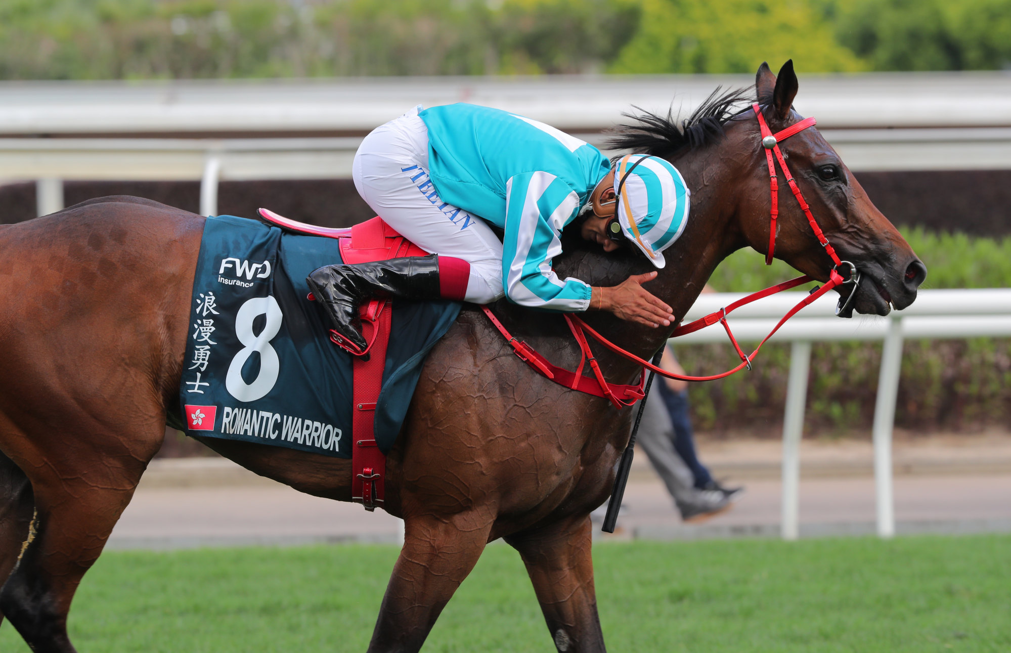 Karis Teetan gives Romantic Warrior a hug after their QE II Cup win in April.