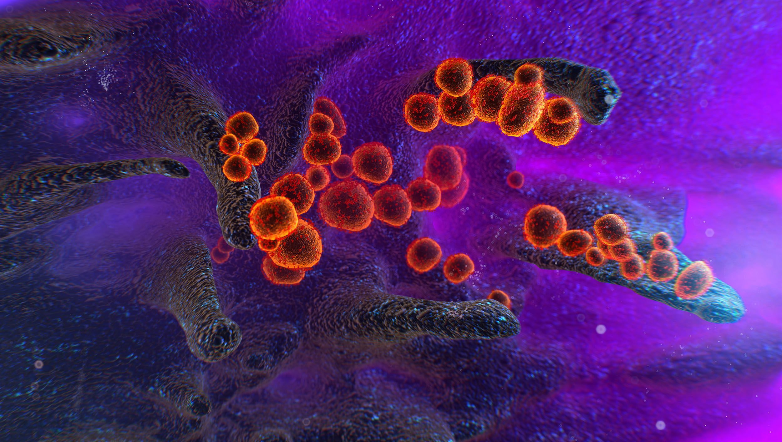 The coronavirus is seen under an electron microscope. Image: Shutterstock