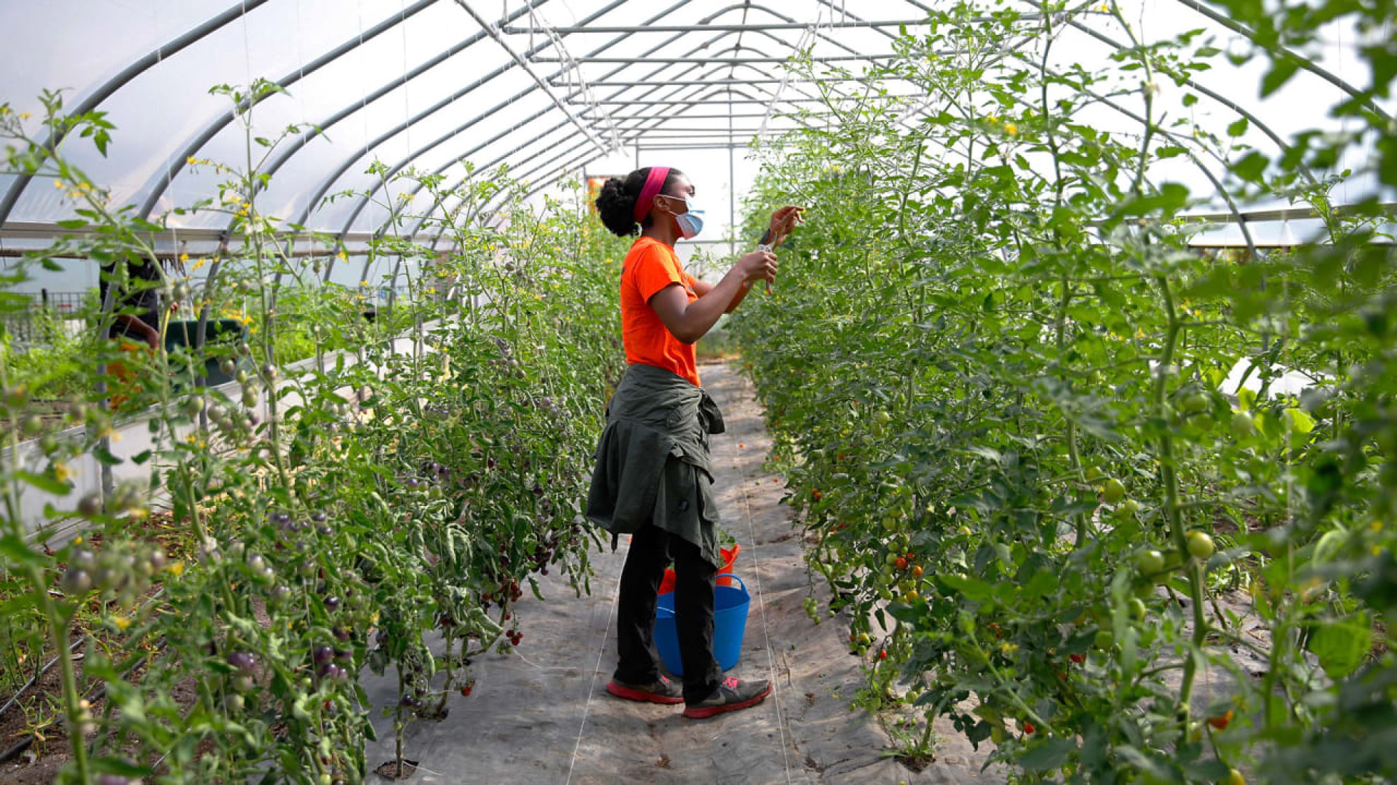 Walmart heir Lukas Walton’s Builders Vision investment platform aims to reshape the food system, among other things. Photo: @zaibatsu/Twitter