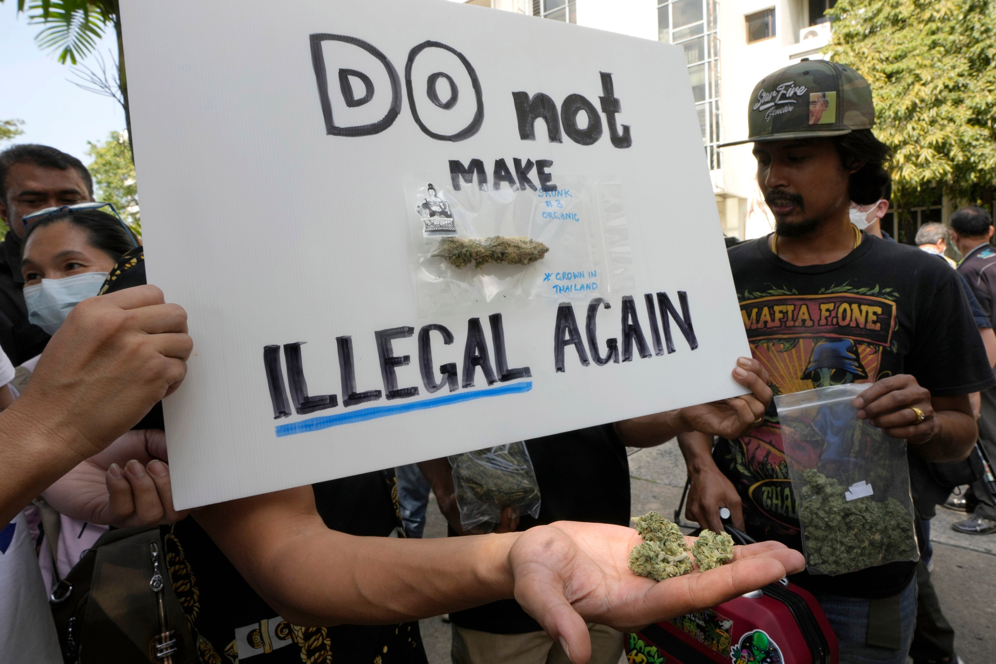 Demonstrators hold pieces of cannabis outside the Government House in Bangkok, Thailand on Tuesday supporting the decriminalisation of cannabis. Photo: AP