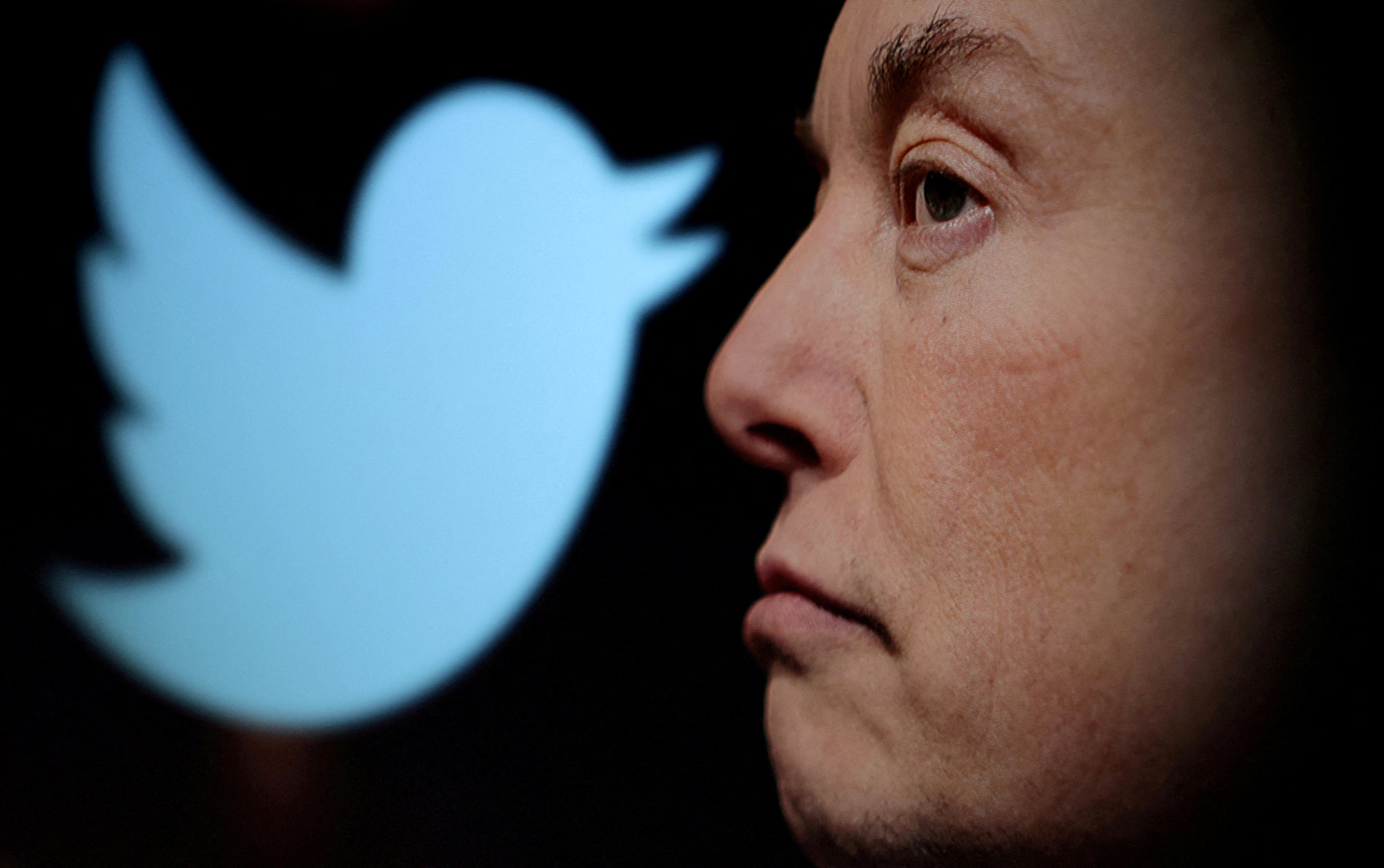 The Twitter logo and a photo of Elon Musk are displayed in this illustration taken October 27, 2022. Photo: Reuters