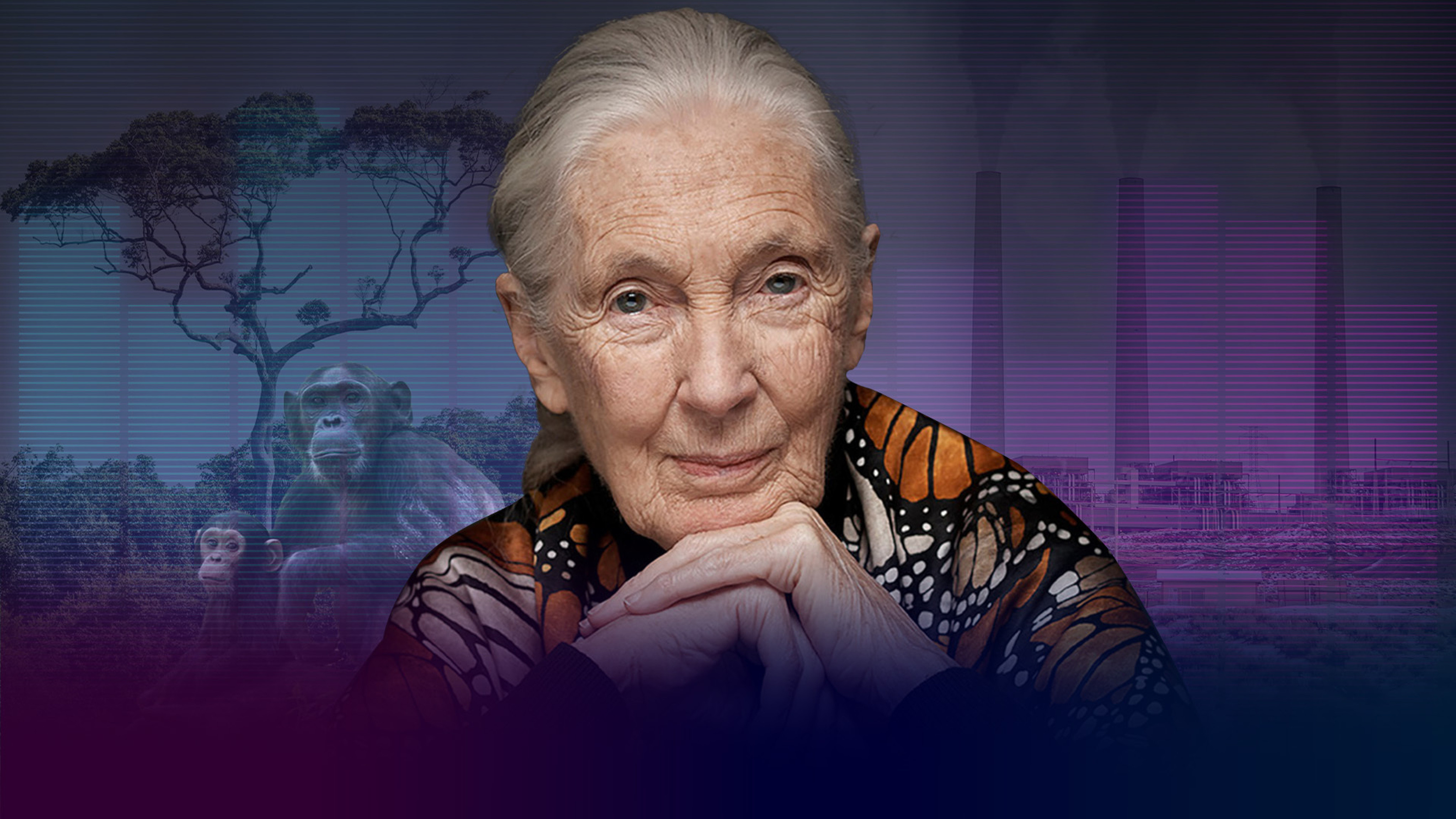 Jane Goodall thinks the world’s ‘a mess’, but says there’s still time to save the planet. Photo: SCMP