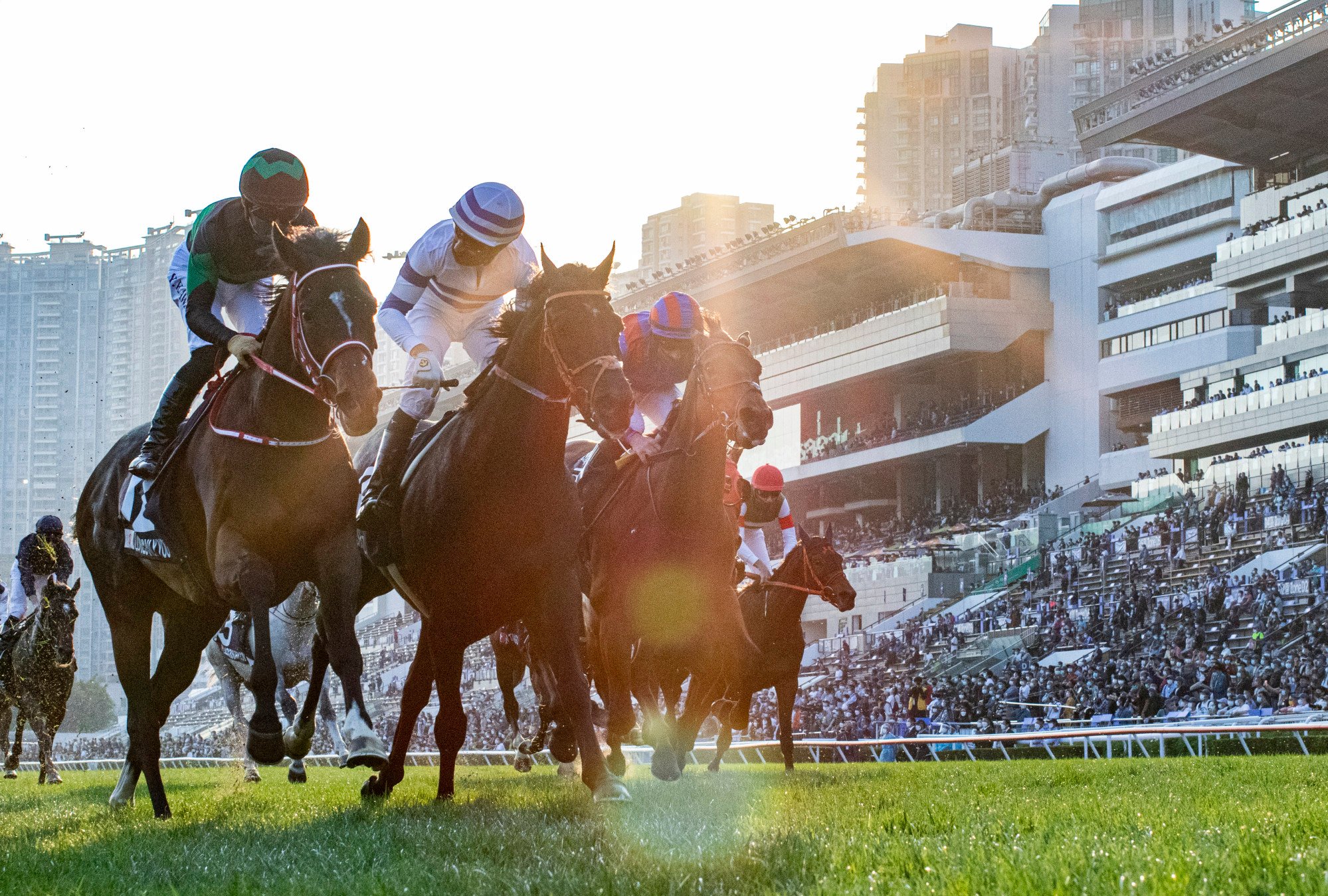 STYLE Edit Meet Golden Sixty, the Hong Kong racehorse breaking records and aiming for further