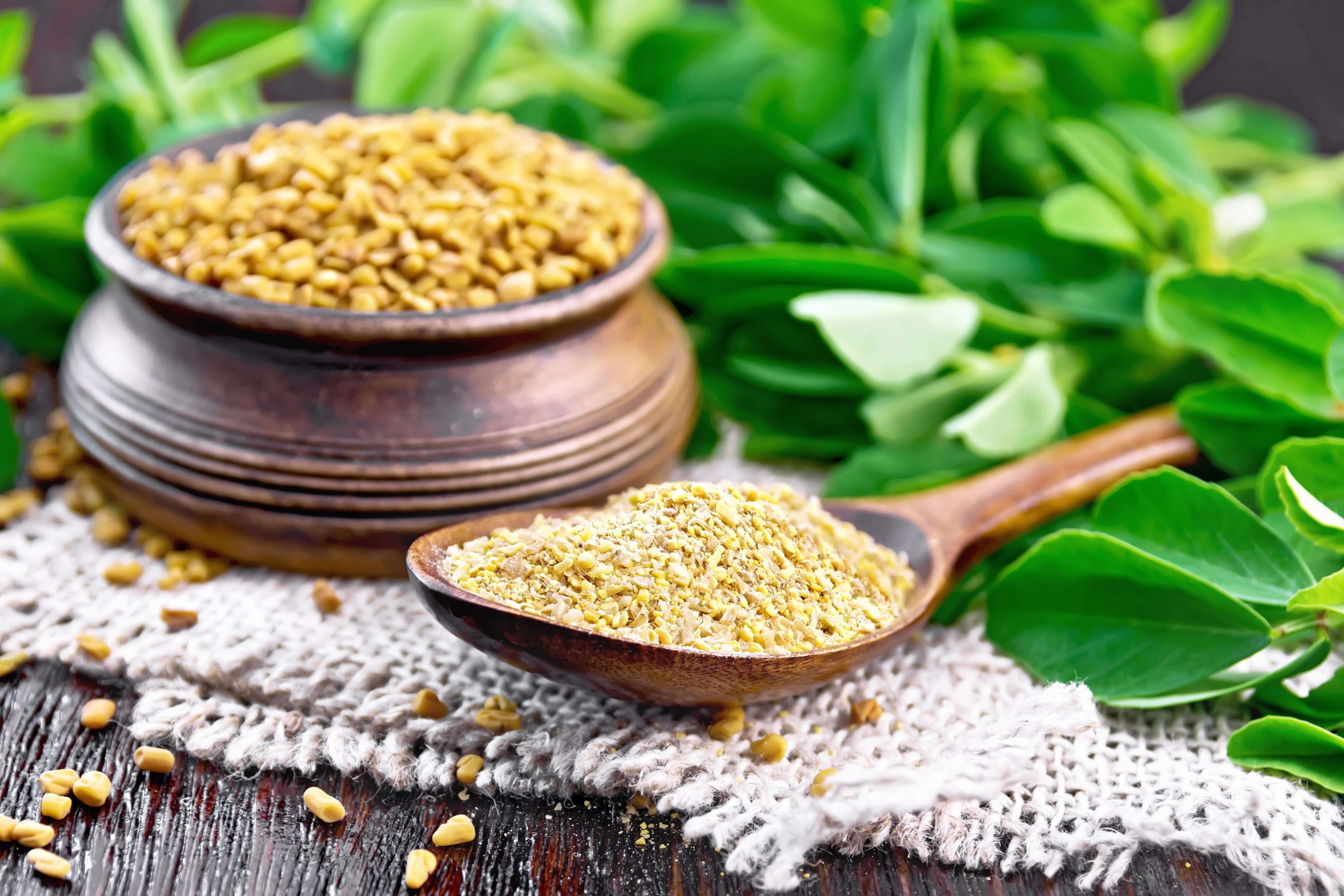 Whether taken in seed or powder form or consumed fresh as a herb, fenugreek’s many benefits according to traditional Chinese and Indian medicine include helping diabetics, aiding weight loss, and promoting heart health. Used powdered as a spice, It also makes food more tasty. Photo: Shutterstock