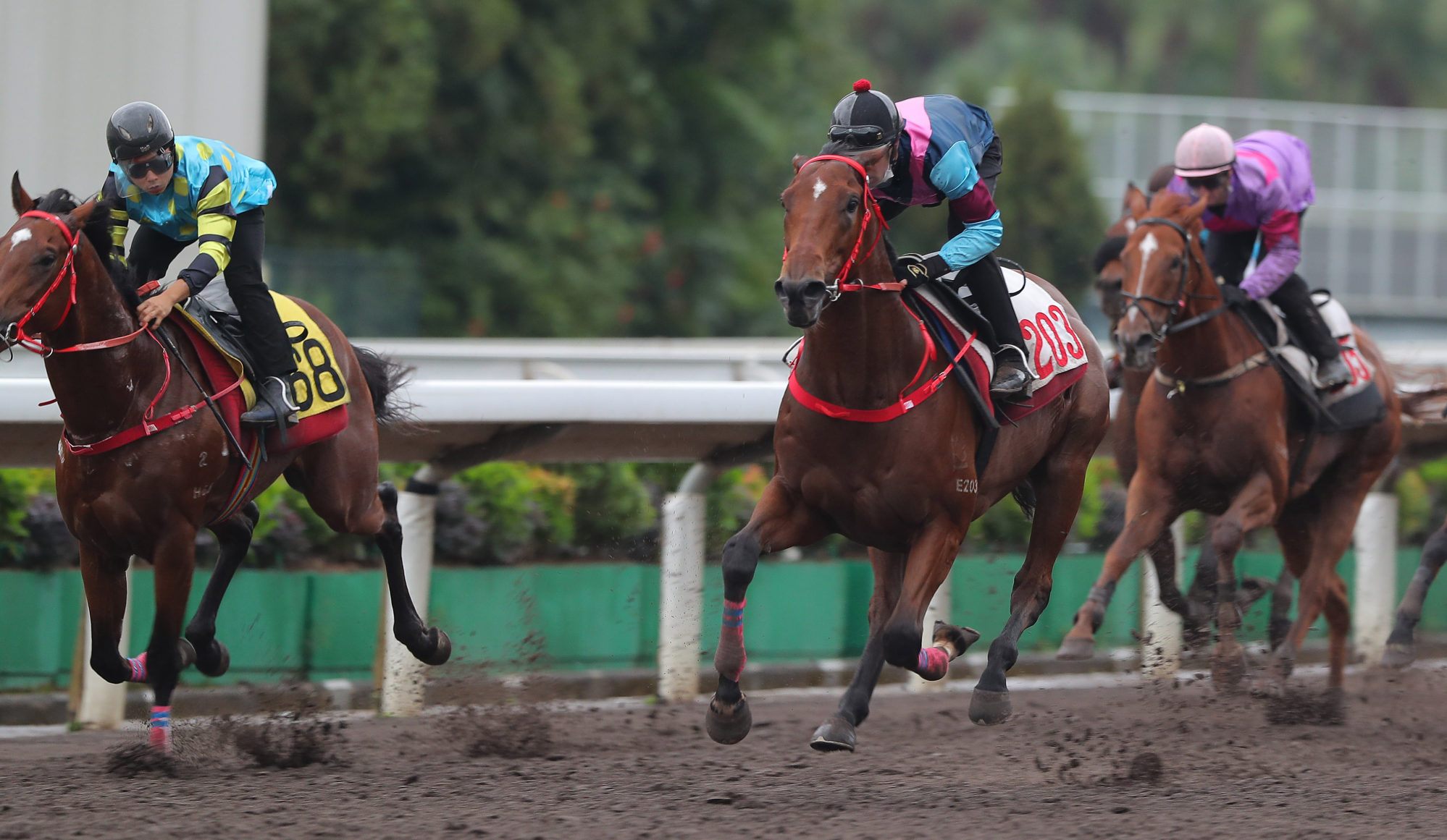 Majestic Star (centre) wins a recent trial under Hugh Bowman.