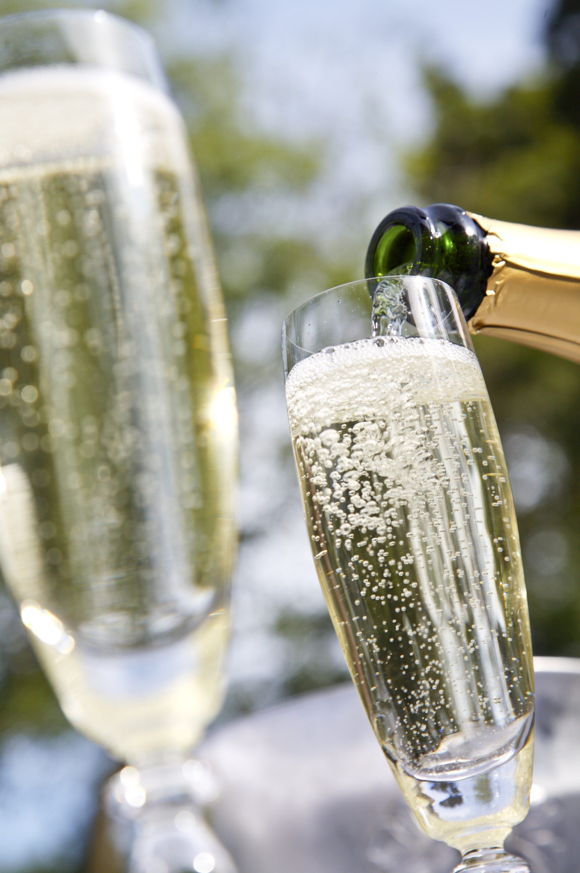 Champagne makers celebrate record sales ahead of Christmas