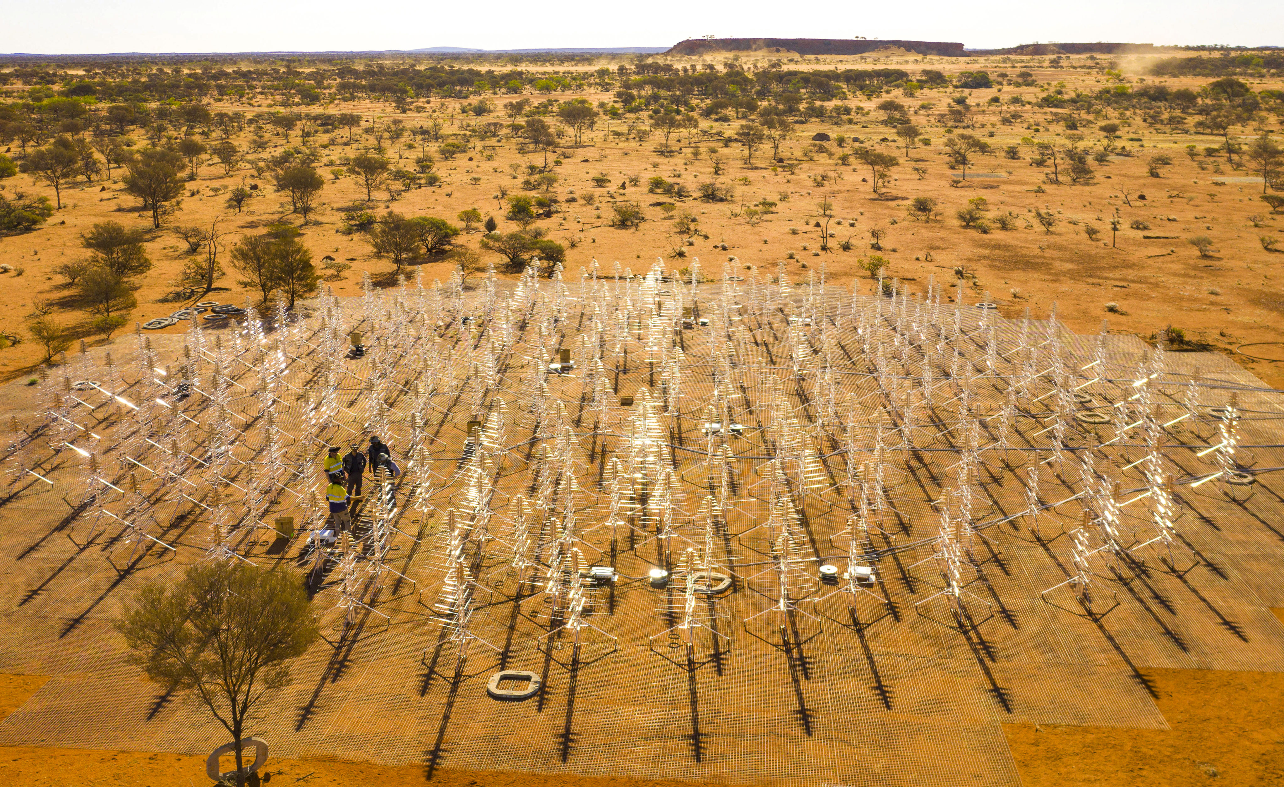 The Square Kilometre Array Observatory in Australia. Photo: Square Kilometre Array Observatory.