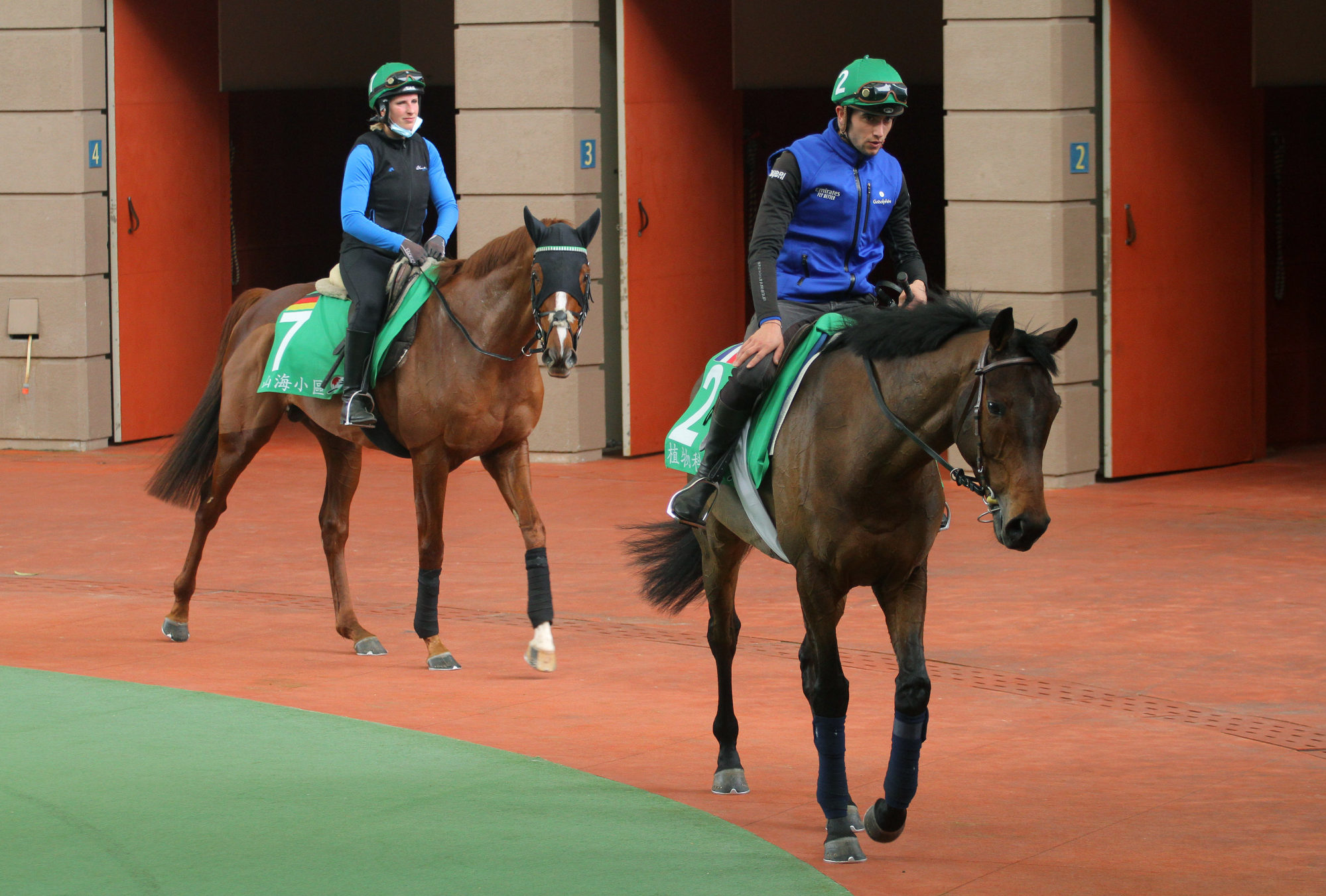 Trainer Sarah Steinberg schools Mendocino (left) in the Sha Tin parade ring. Photo: Kenneth Chan