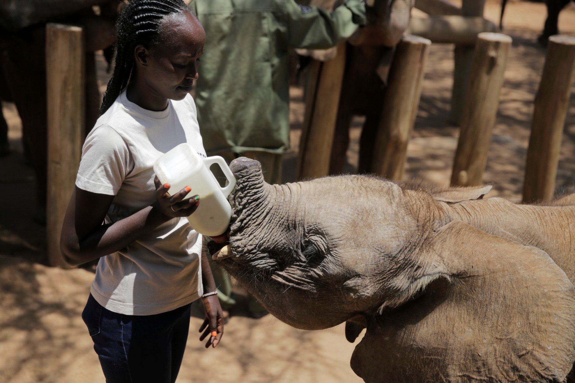 As COP15 talks biodiversity, Kenya drought kills wildlife, including