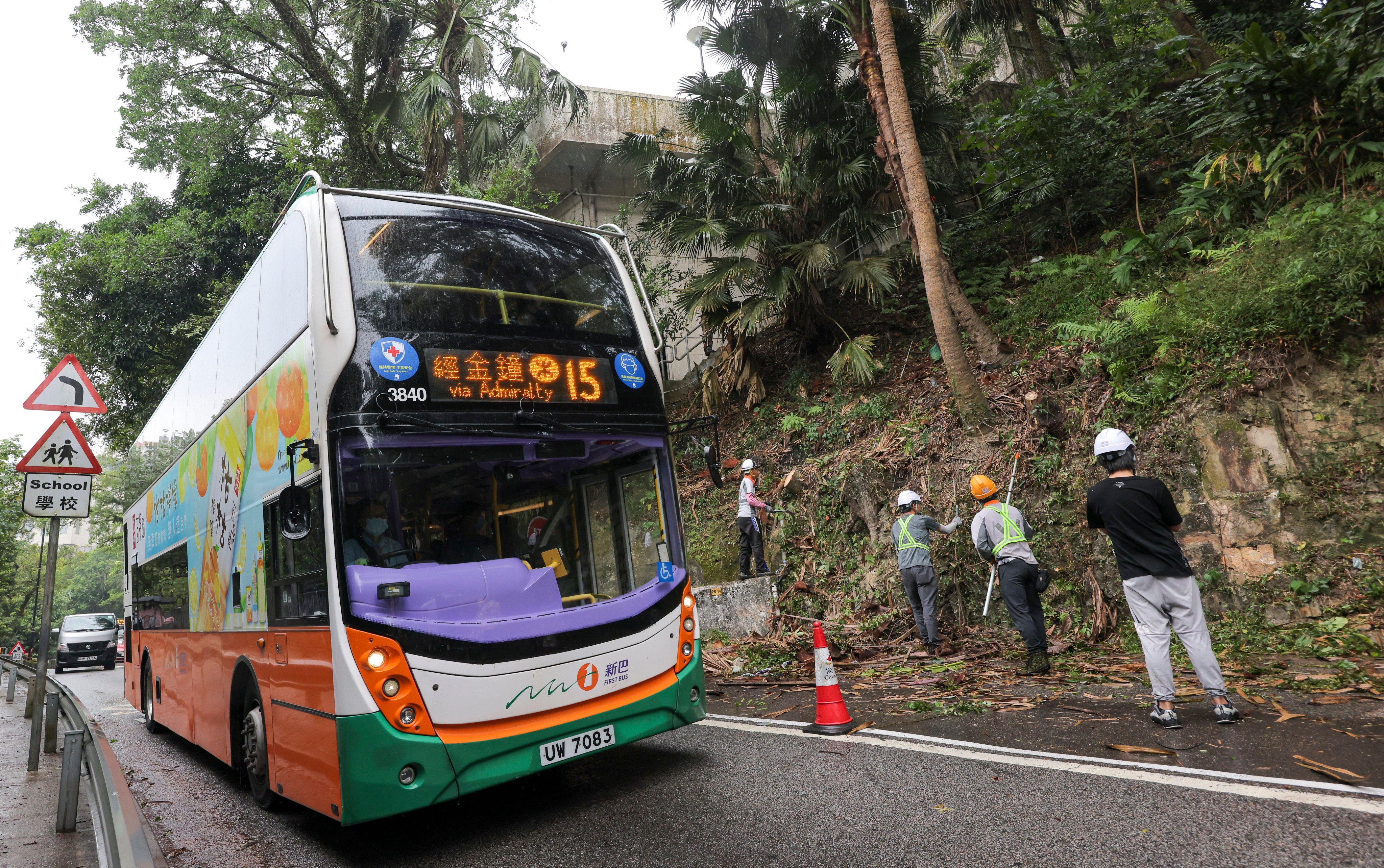Workers clean up on October 18 after a tree falls on Peak Road. Seven passengers were injured when a tree fell on a bus travelling on The Peak as Hong Kong felt the effects of Typhoon Nesat. Photo: Jelly Tse