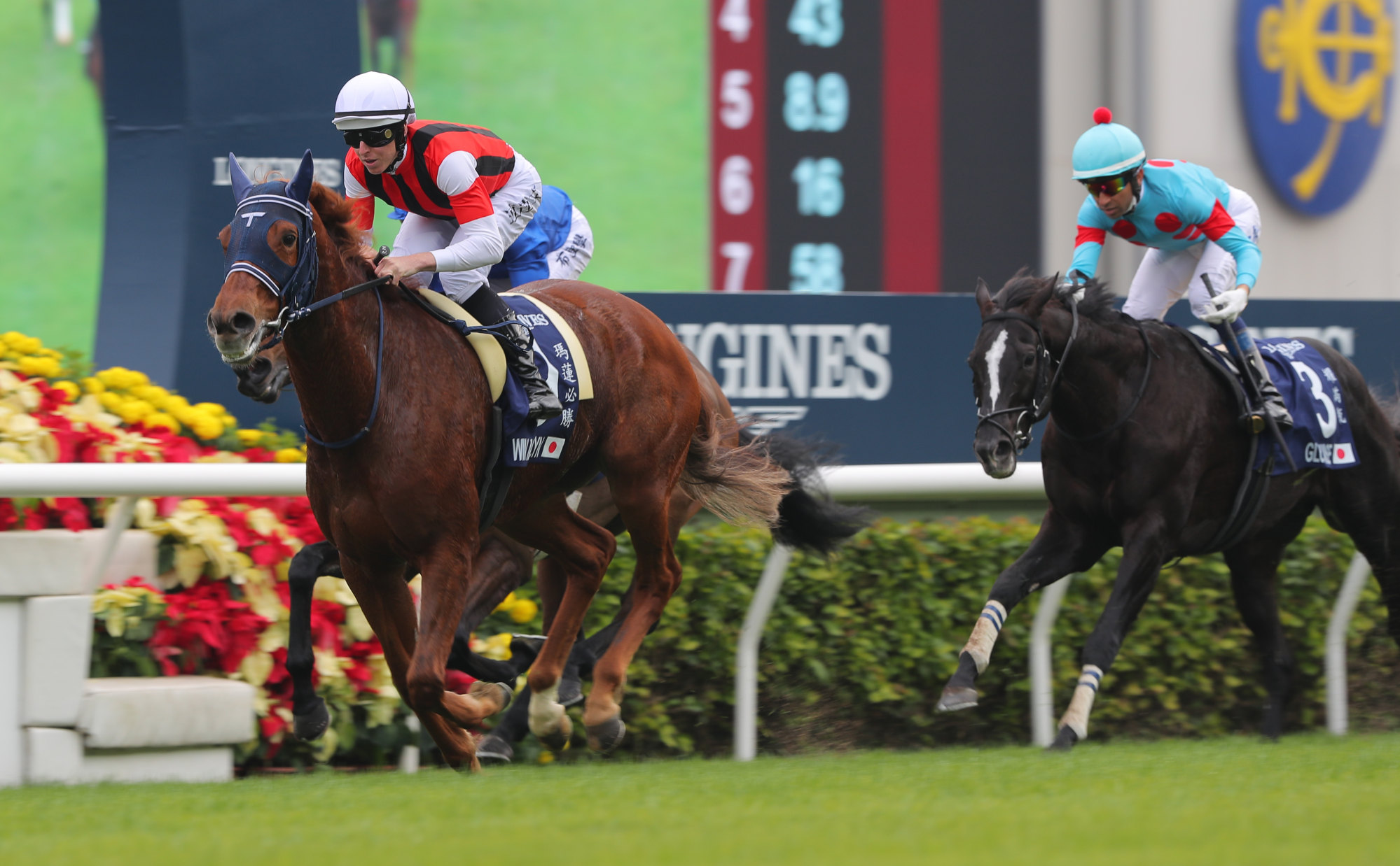 Win Marilyn takes out the Hong Kong Vase under Damian Lane.