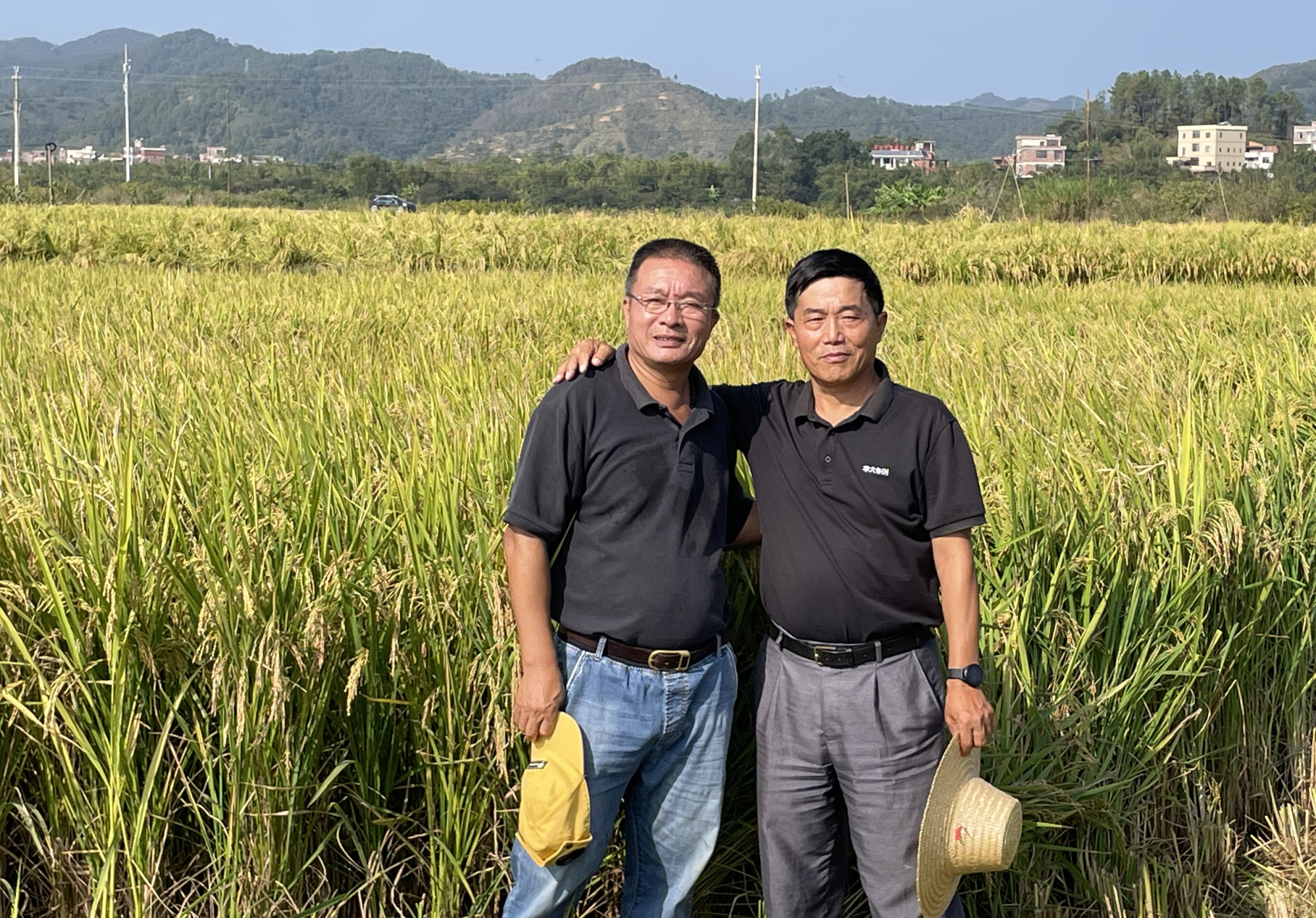 Liang Yuxin (left) planted more than 1 hectare of perennial rice in the southwestern province of Guangxi. Photo: Liang Yuxin