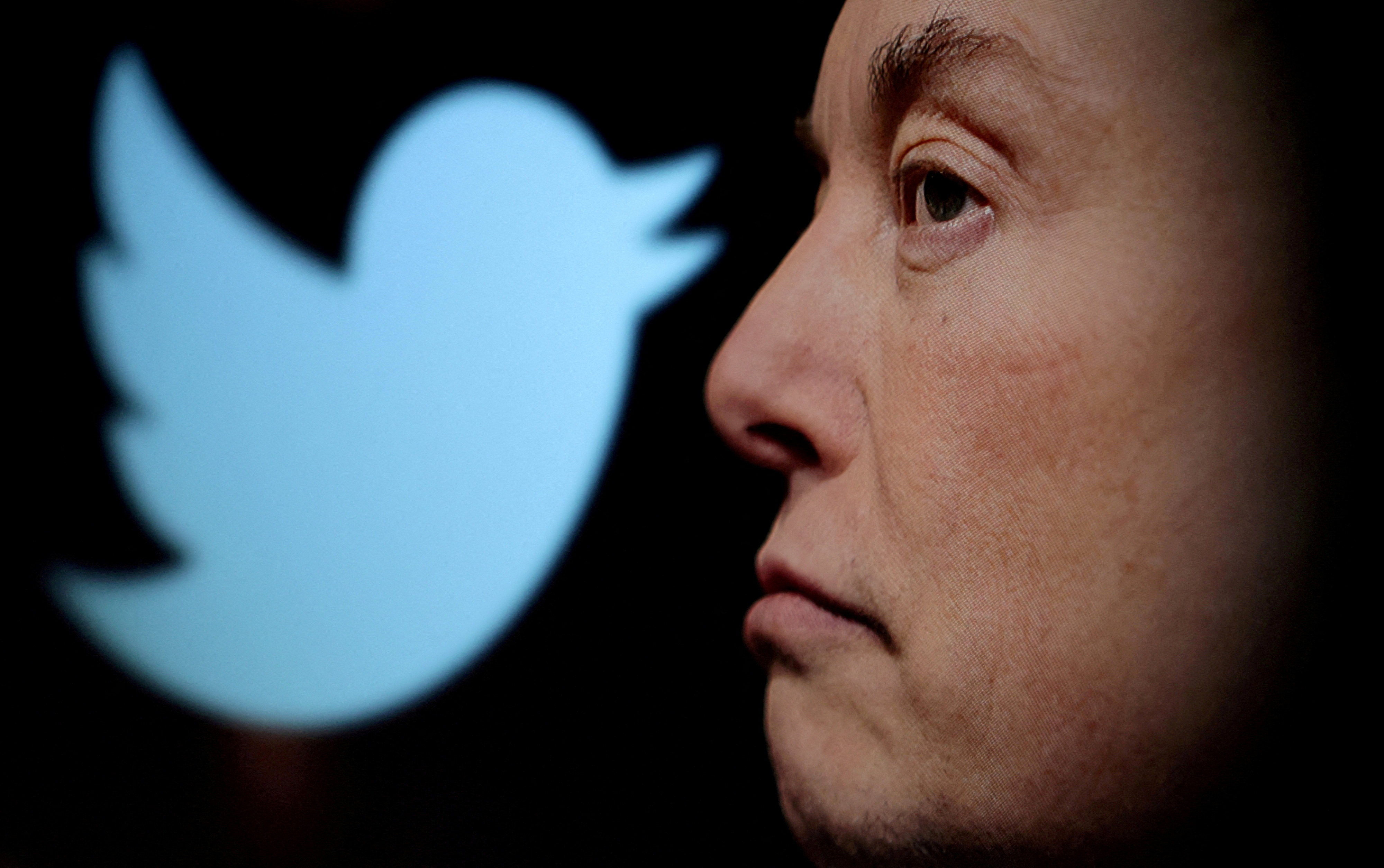 Elon Musk bought Twitter for US$44 billion in late October. Photo: Reuters