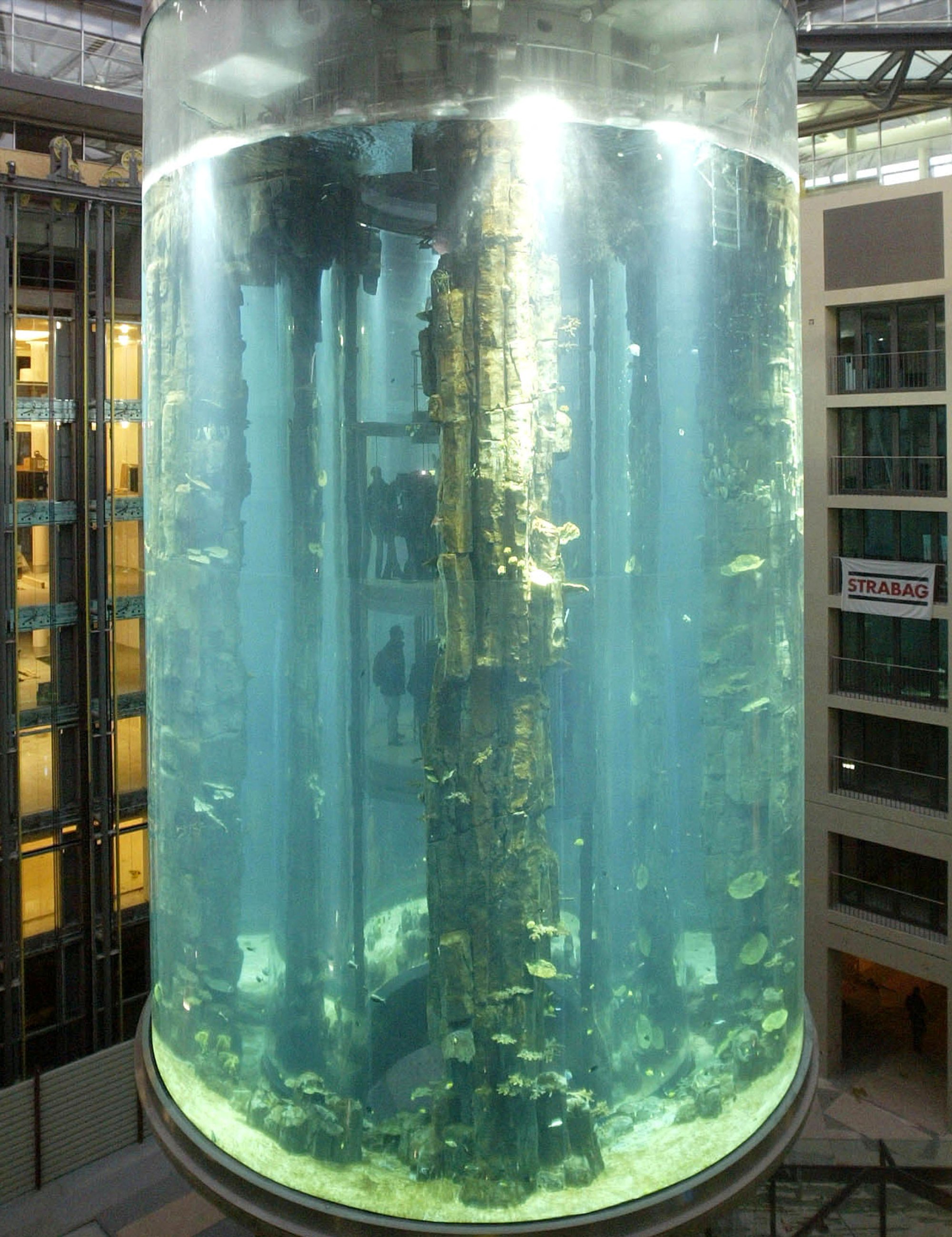 World's largest free-standing cylindrical aquarium bursts in Berlin,  flooding street